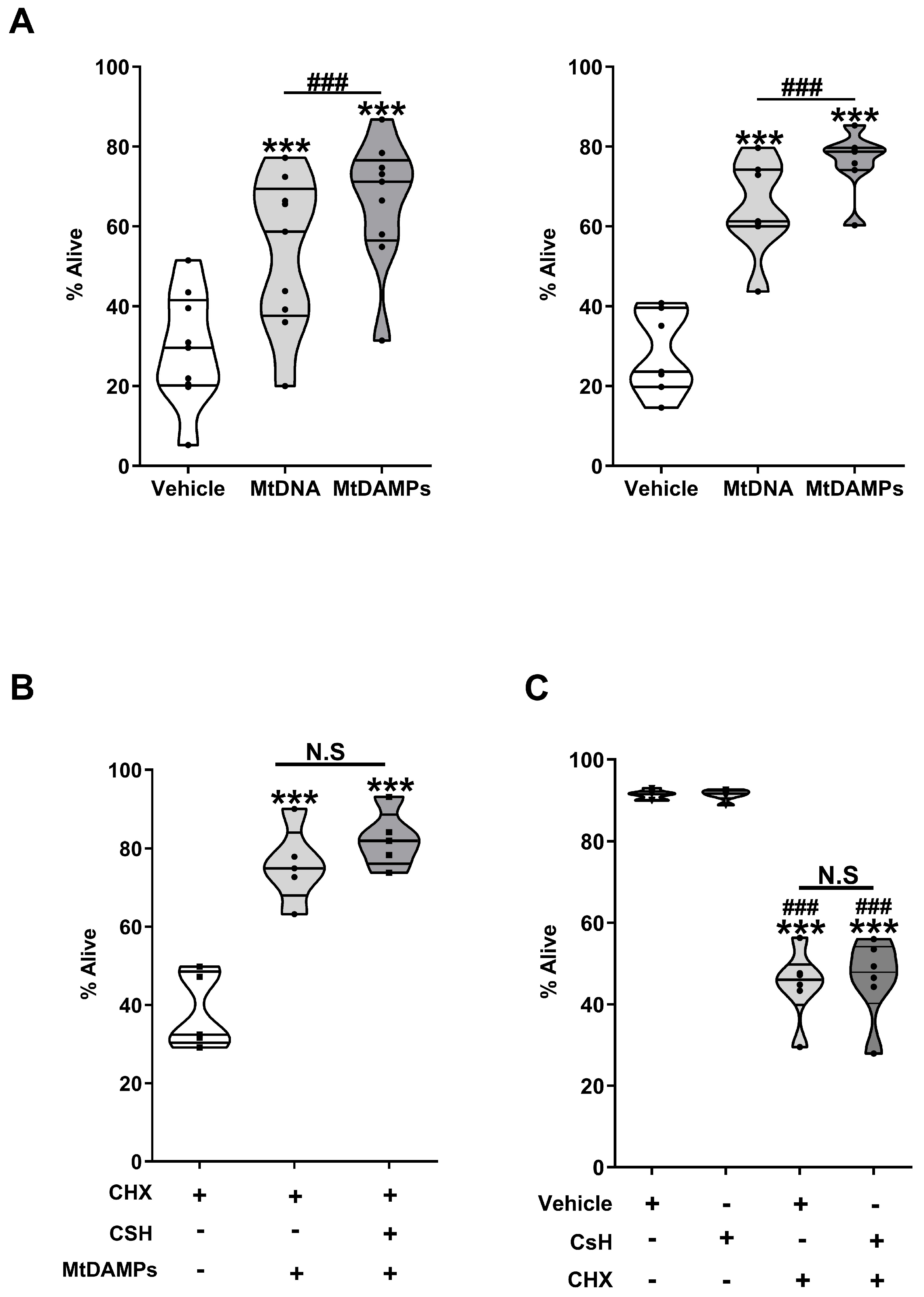 Cells 14 00754 g012 Cells 14 00754 g012