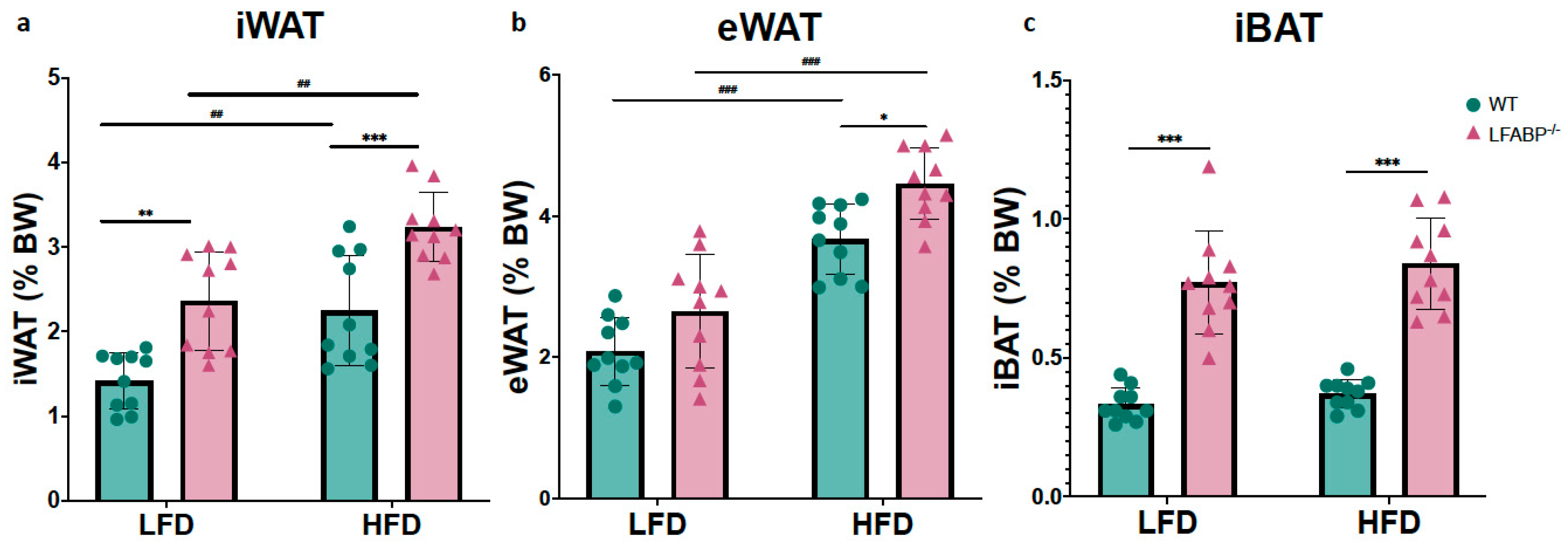 Cells 14 00760 g002 Cells 14 00760 g002