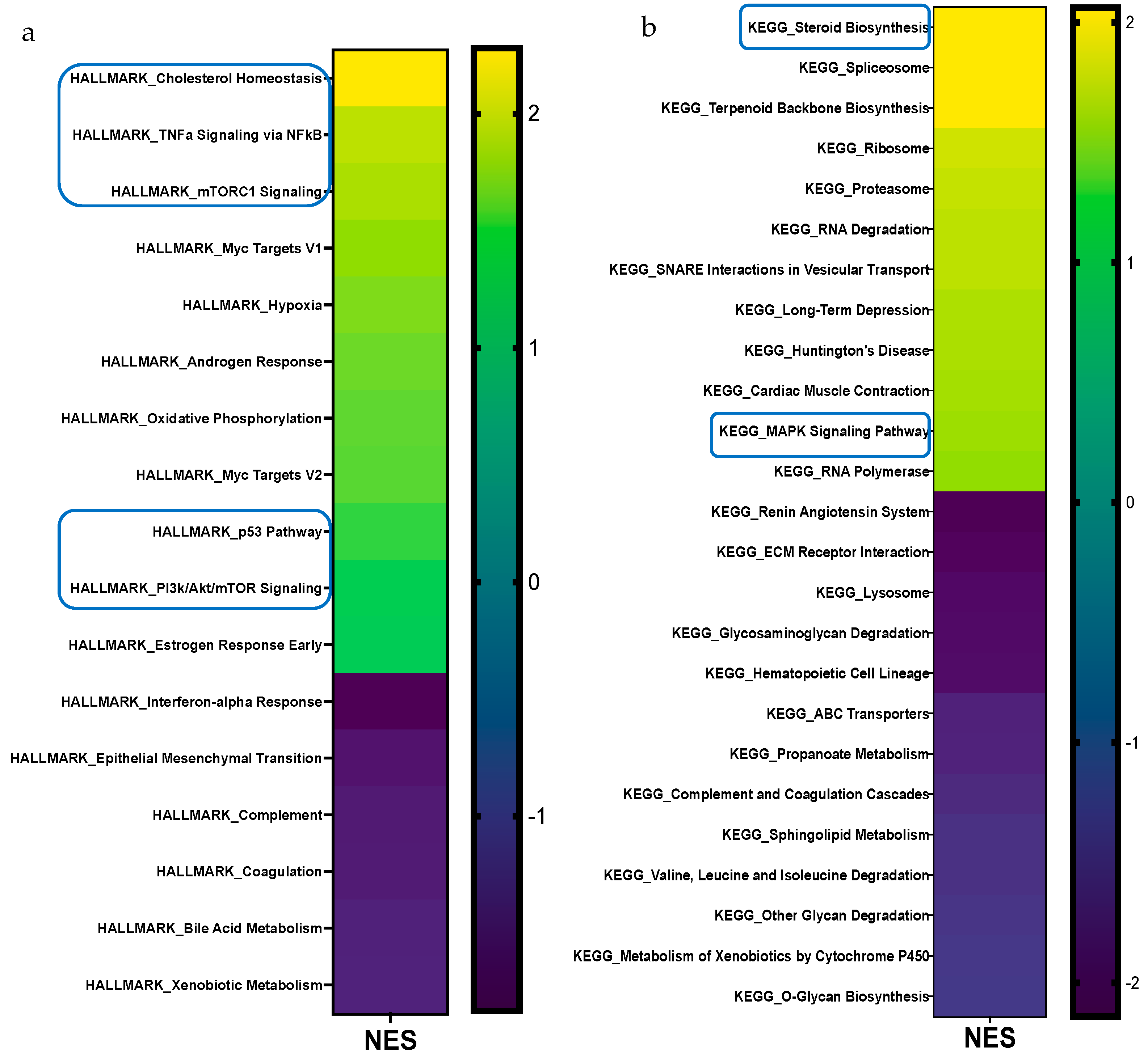 Cells 14 00760 g004a Cells 14 00760 g004a