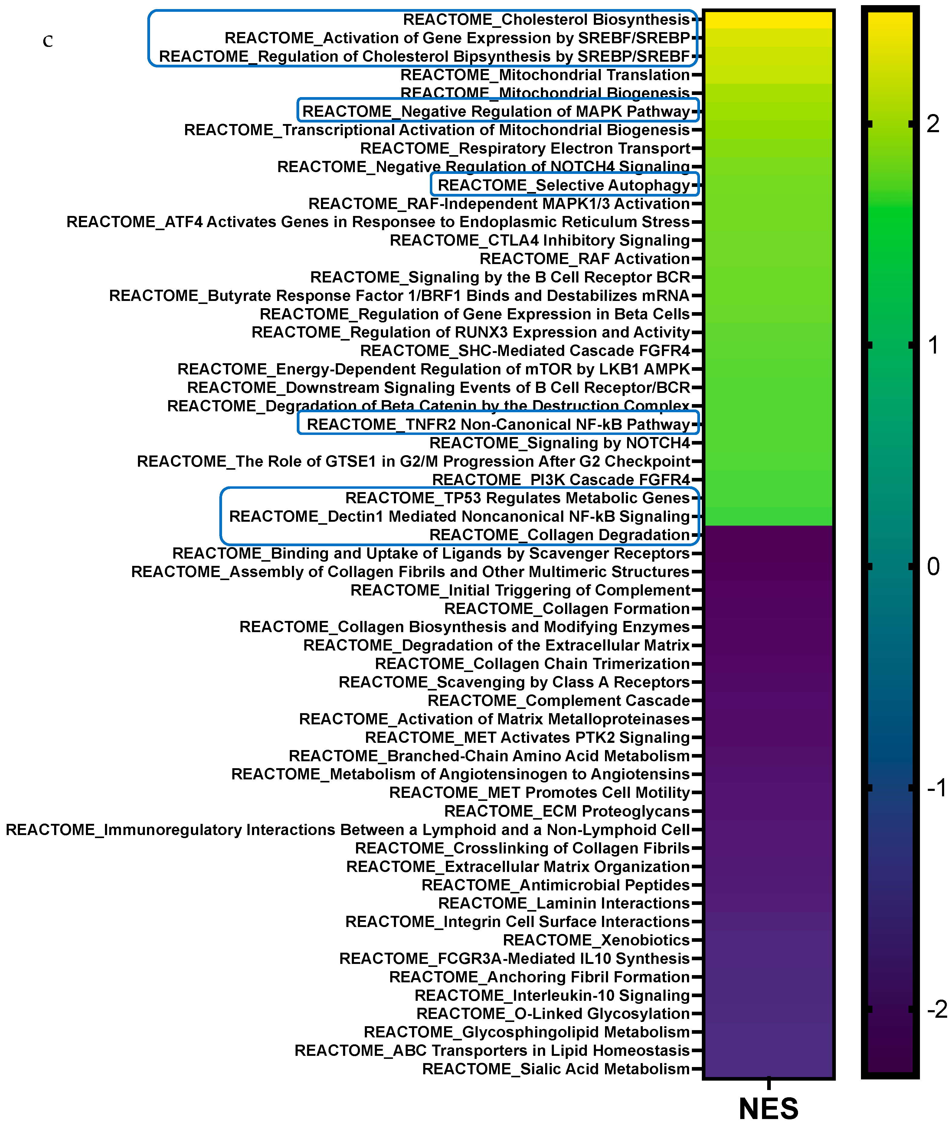 Cells 14 00760 g004b Cells 14 00760 g004b