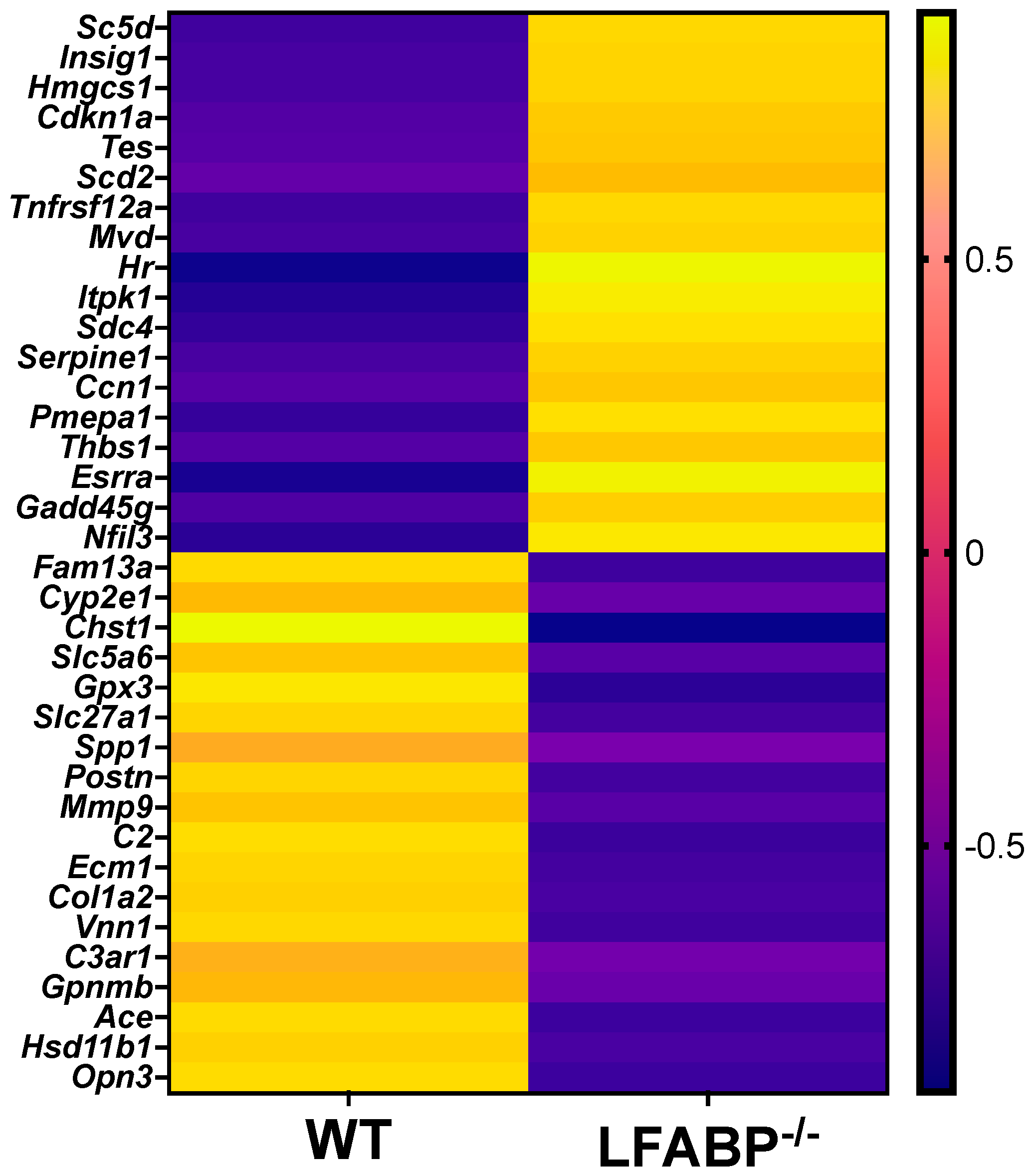 Cells 14 00760 g005 Cells 14 00760 g005