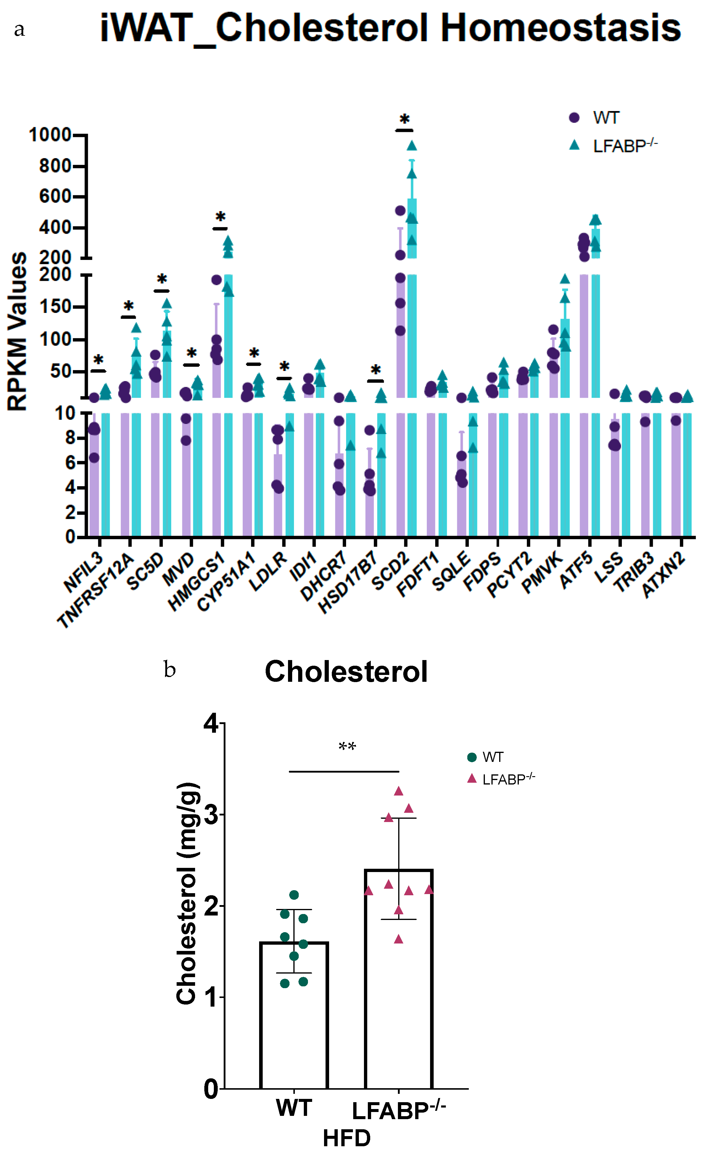 Cells 14 00760 g007 Cells 14 00760 g007
