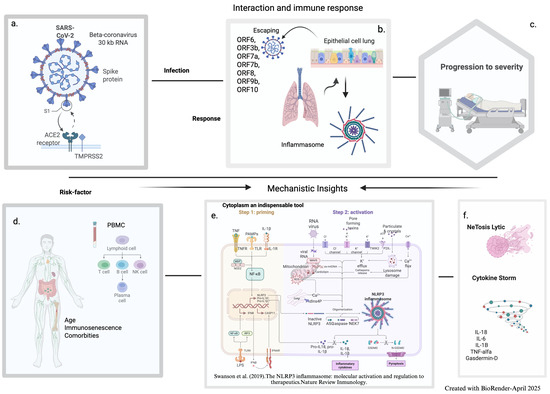 Dynamics of Innate Immunity in SARS-CoV-2 Infections: Exploring the ...