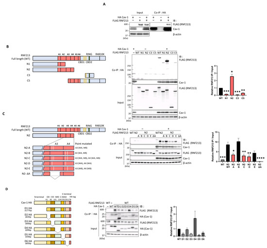 yuki様 ありくり