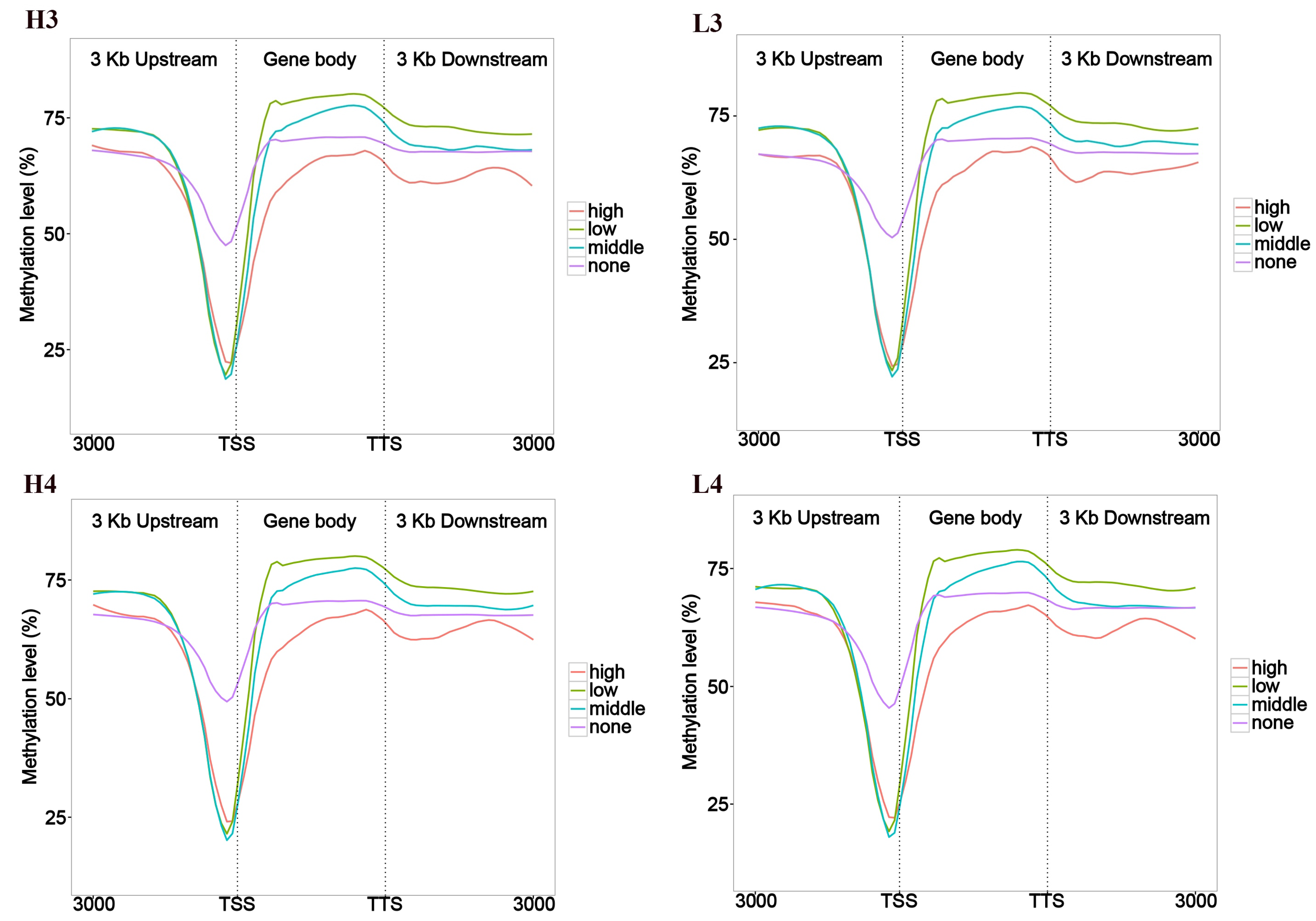 Cells 14 00786 g001b