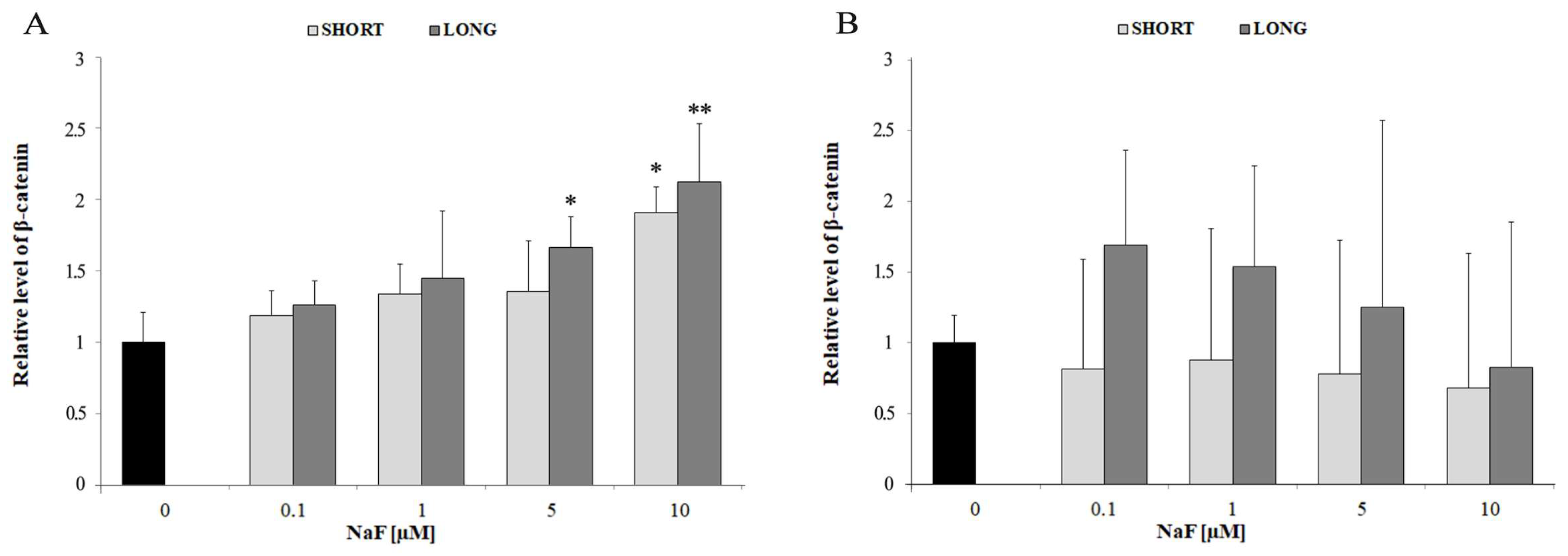 Cells 14 00800 g002 Cells 14 00800 g002