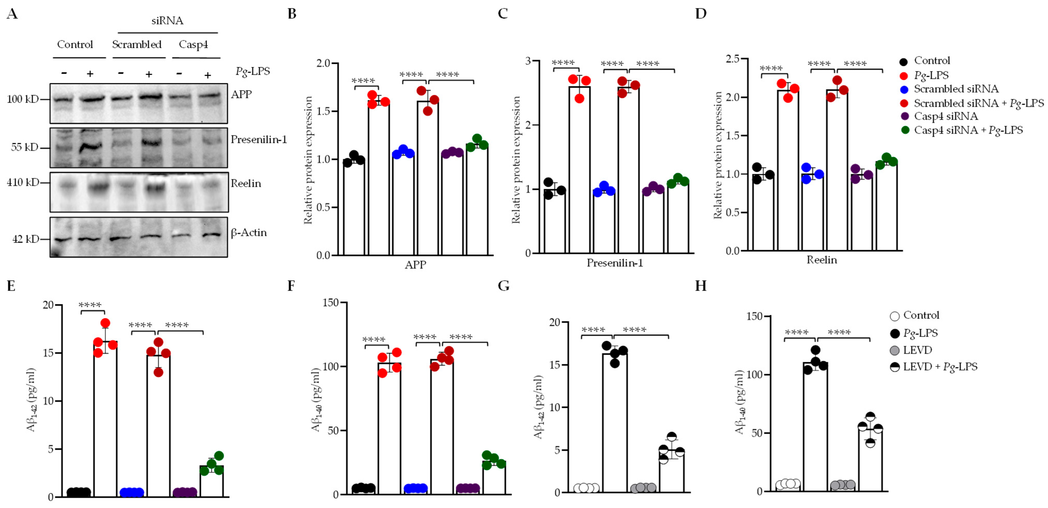 Cells 14 00804 g002 Cells 14 00804 g002
