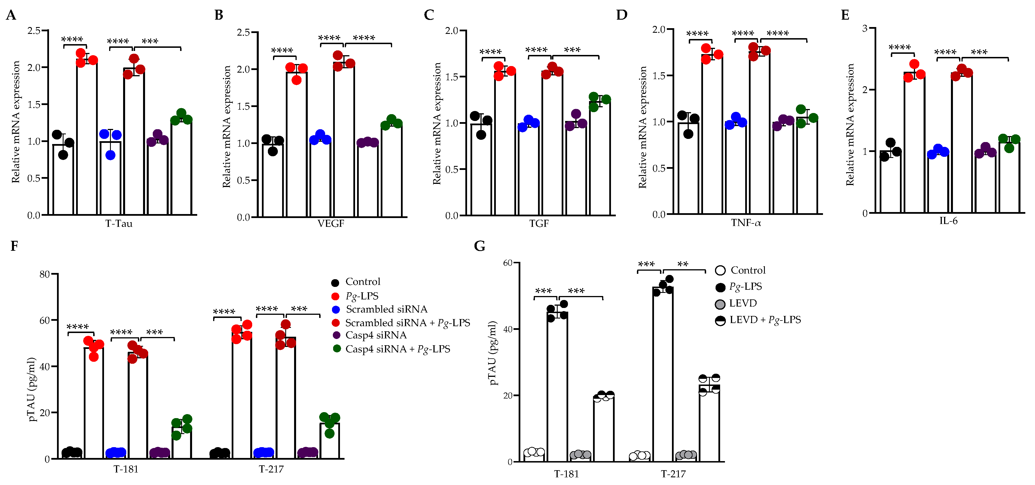 Cells 14 00804 g003 Cells 14 00804 g003