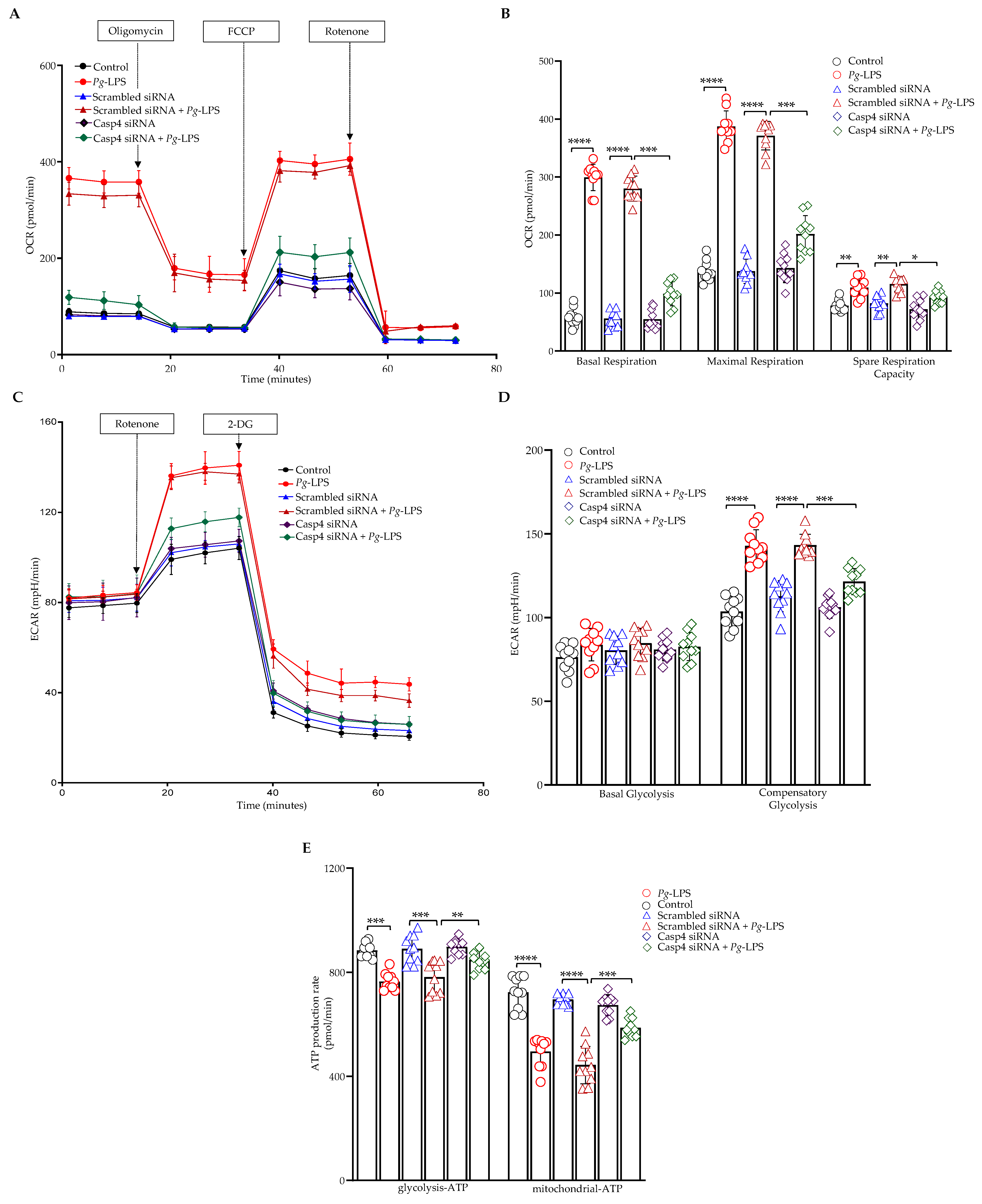 Cells 14 00804 g006 Cells 14 00804 g006