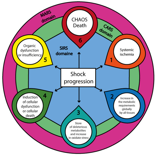 Role of Ischemia/Reperfusion and Oxidative Stress in Shock State
