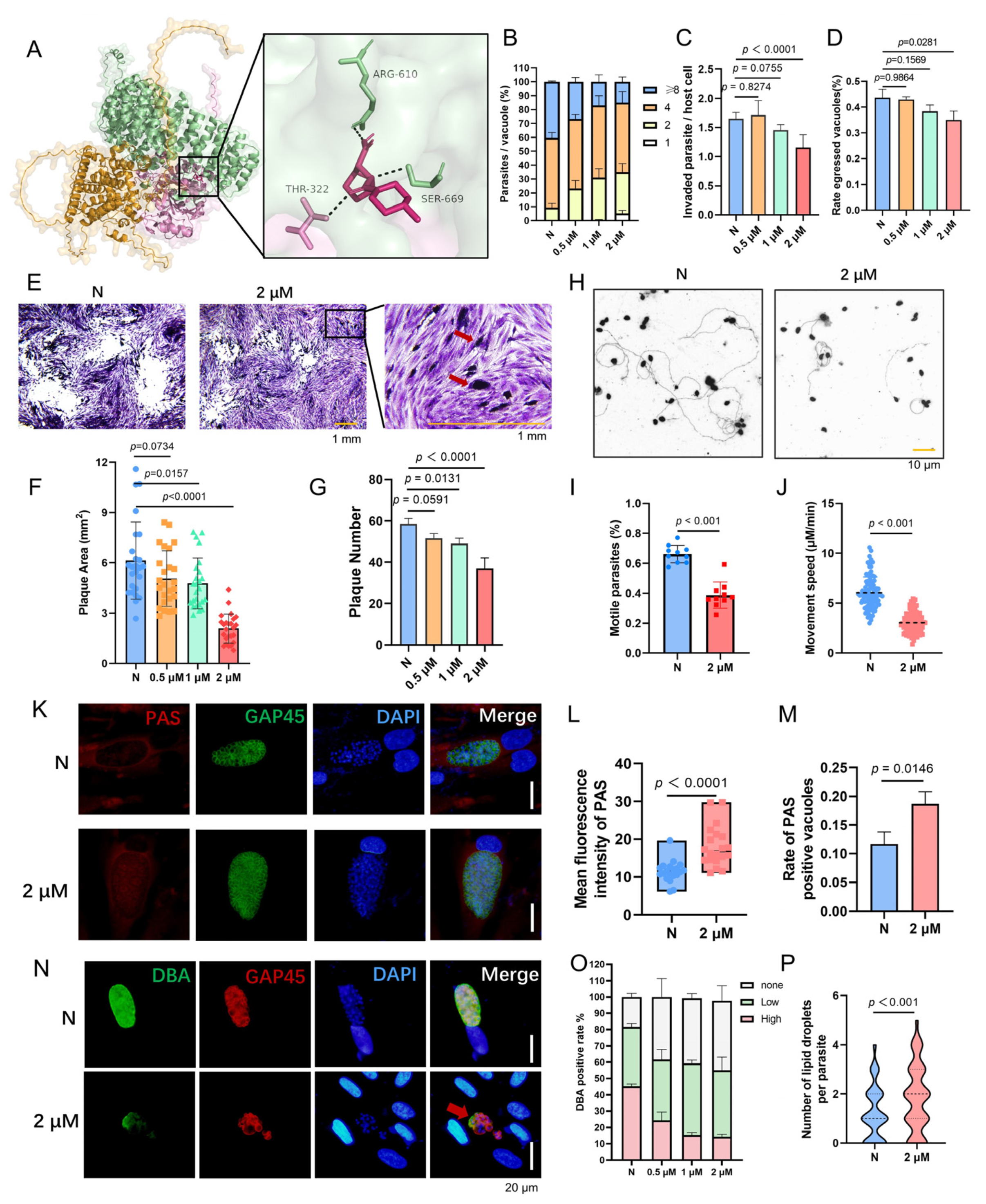 Cells 14 00835 g009