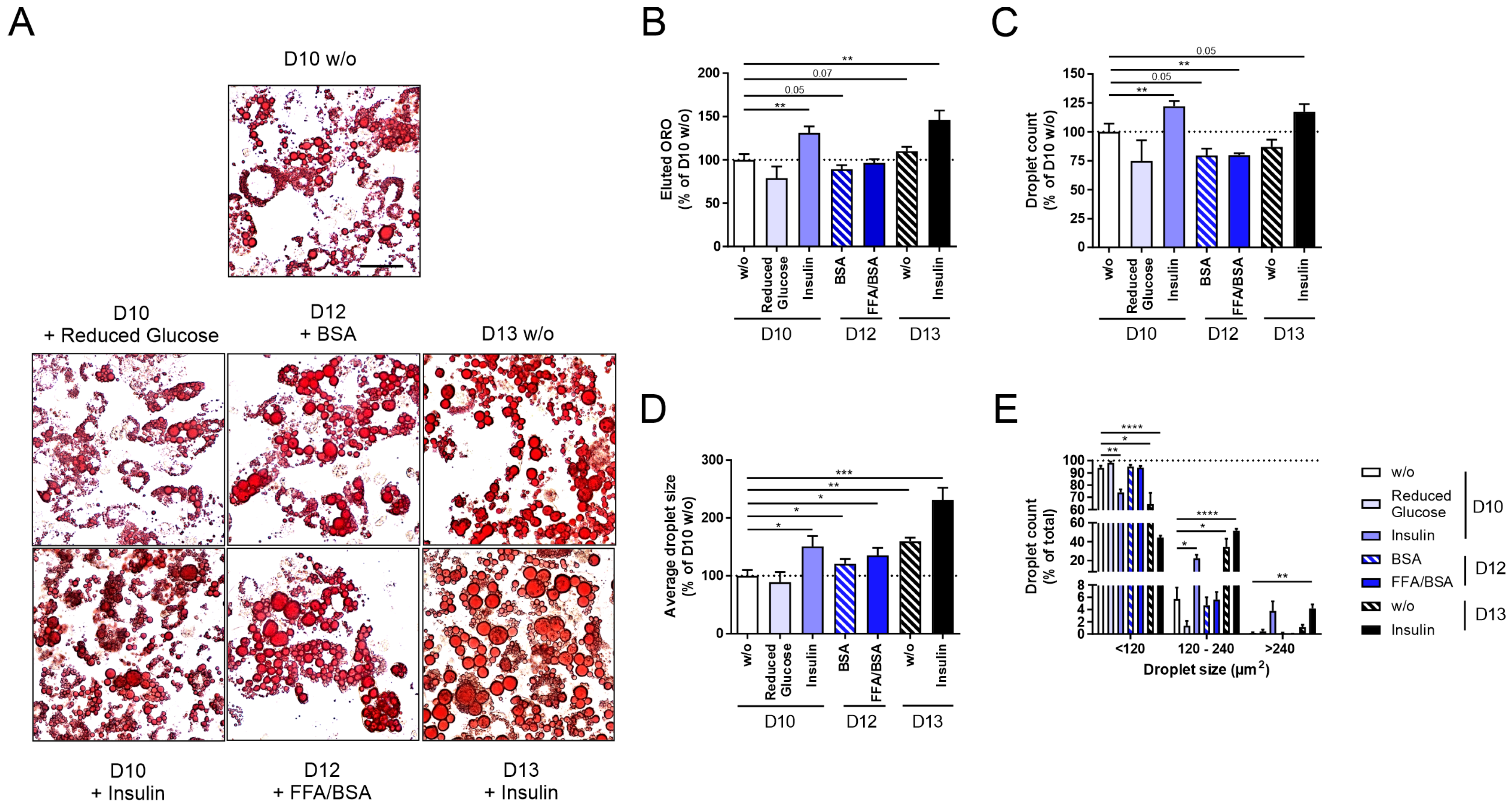 Cells 14 00837 g002 Cells 14 00837 g002
