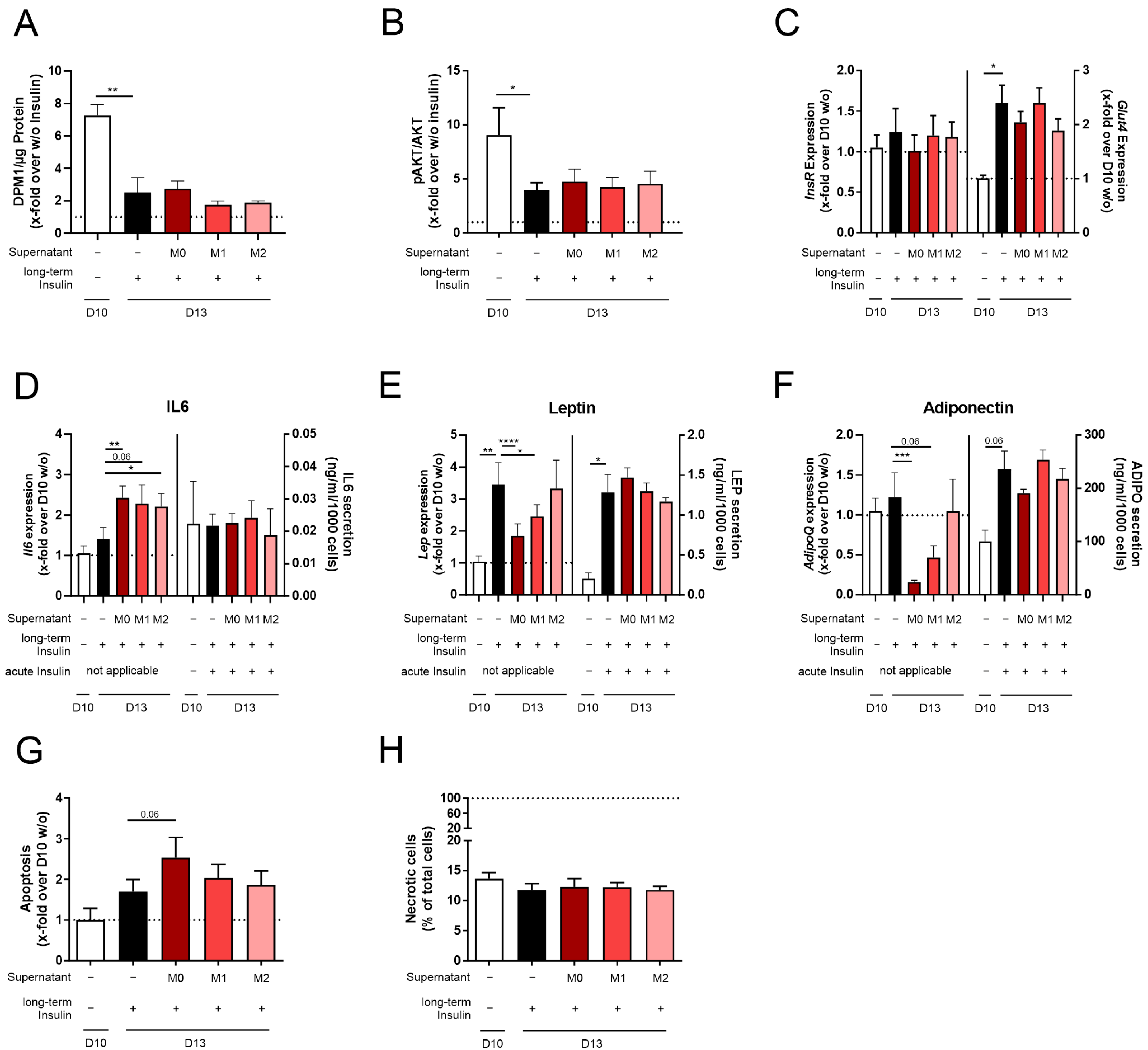 Cells 14 00837 g004 Cells 14 00837 g004