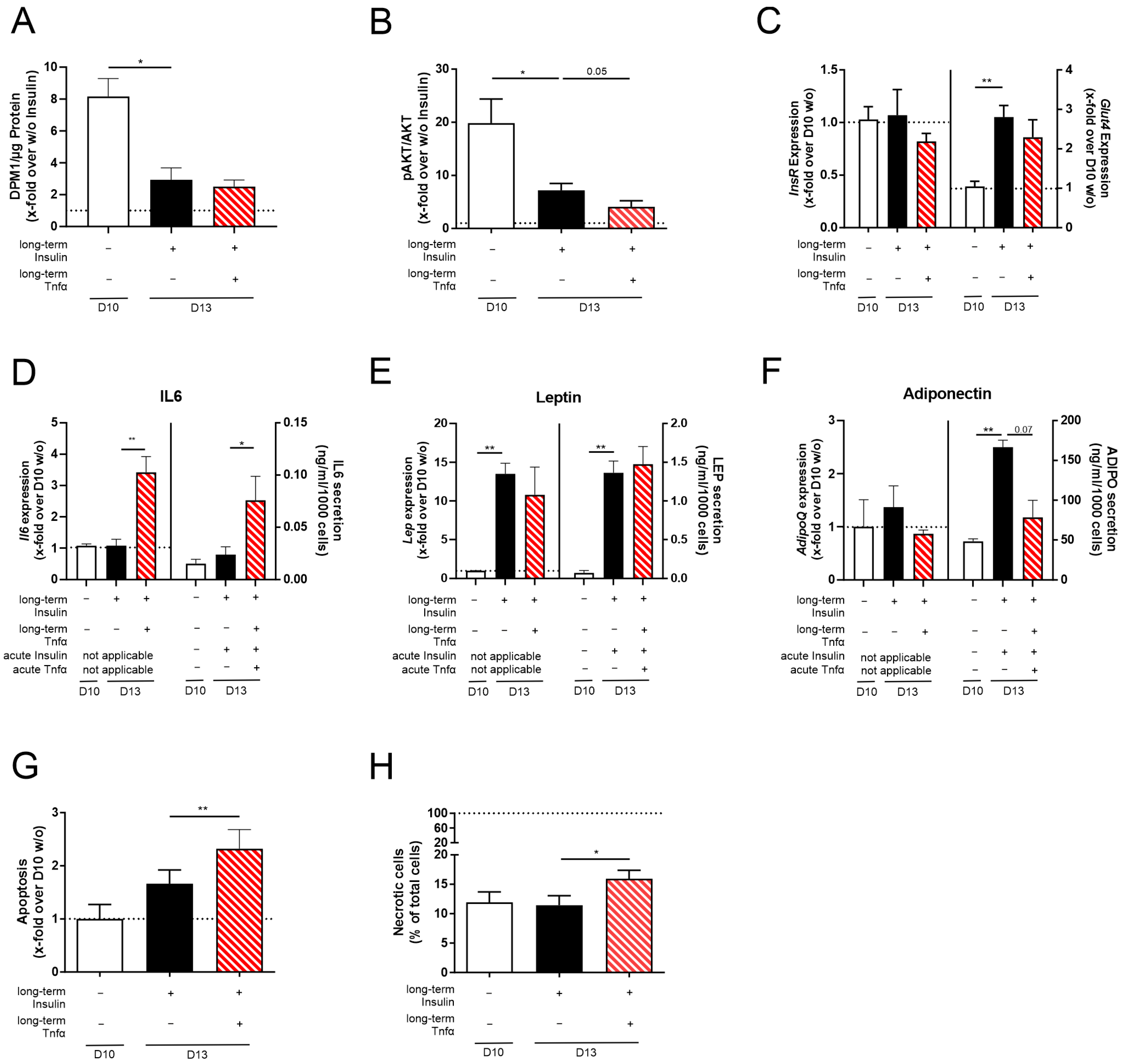 Cells 14 00837 g005 Cells 14 00837 g005