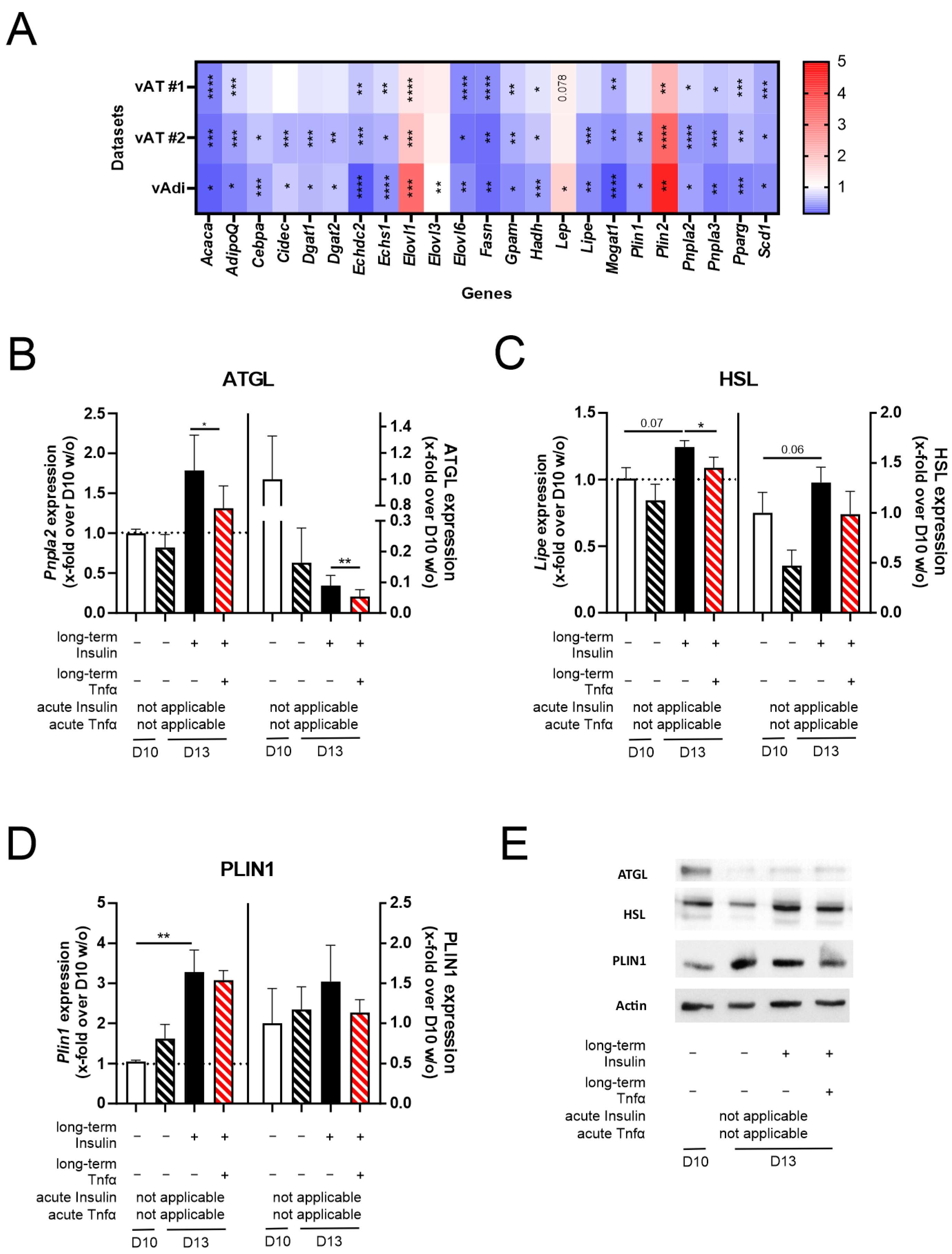 Cells 14 00837 g006 Cells 14 00837 g006