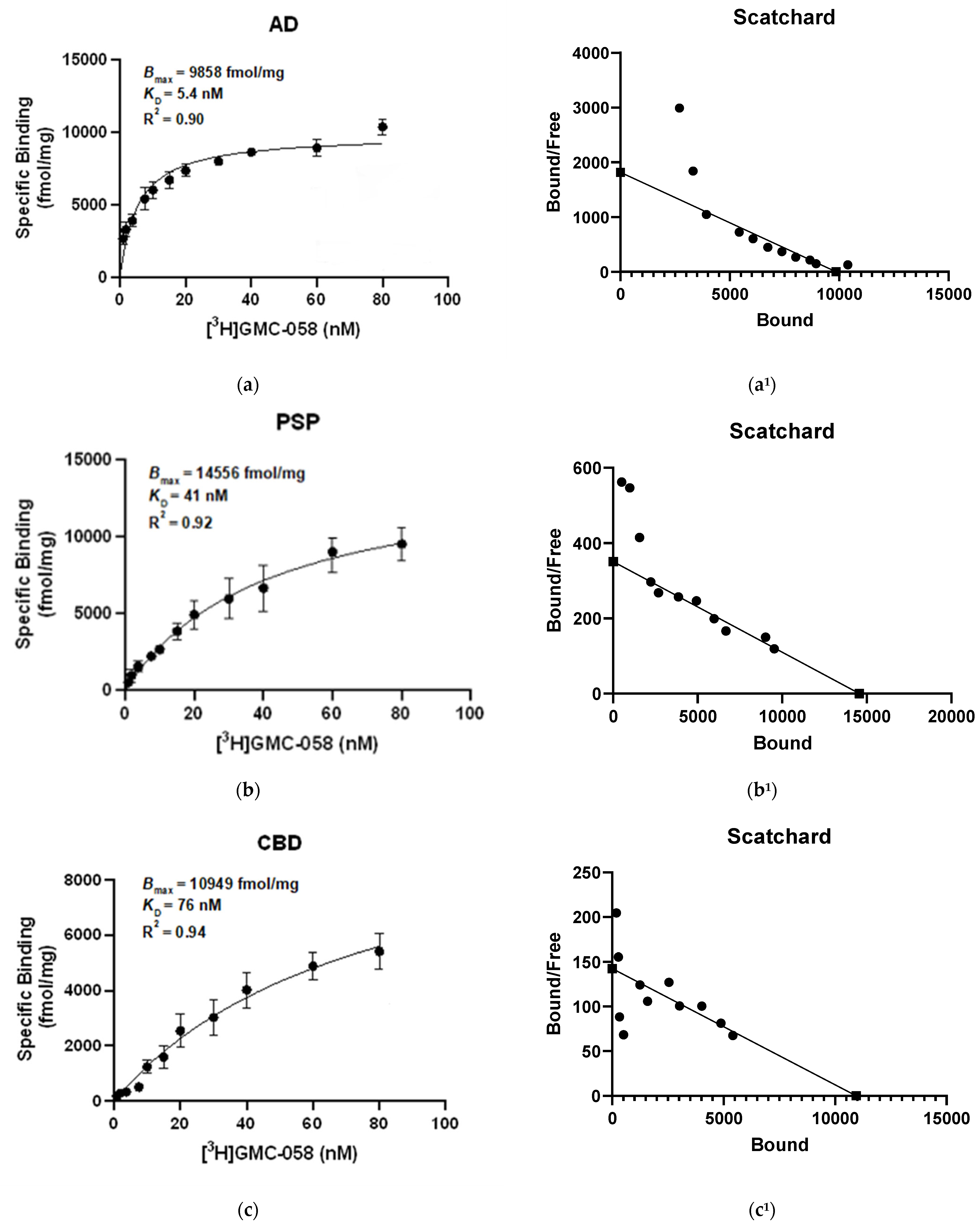 Cells 14 00869 g002a