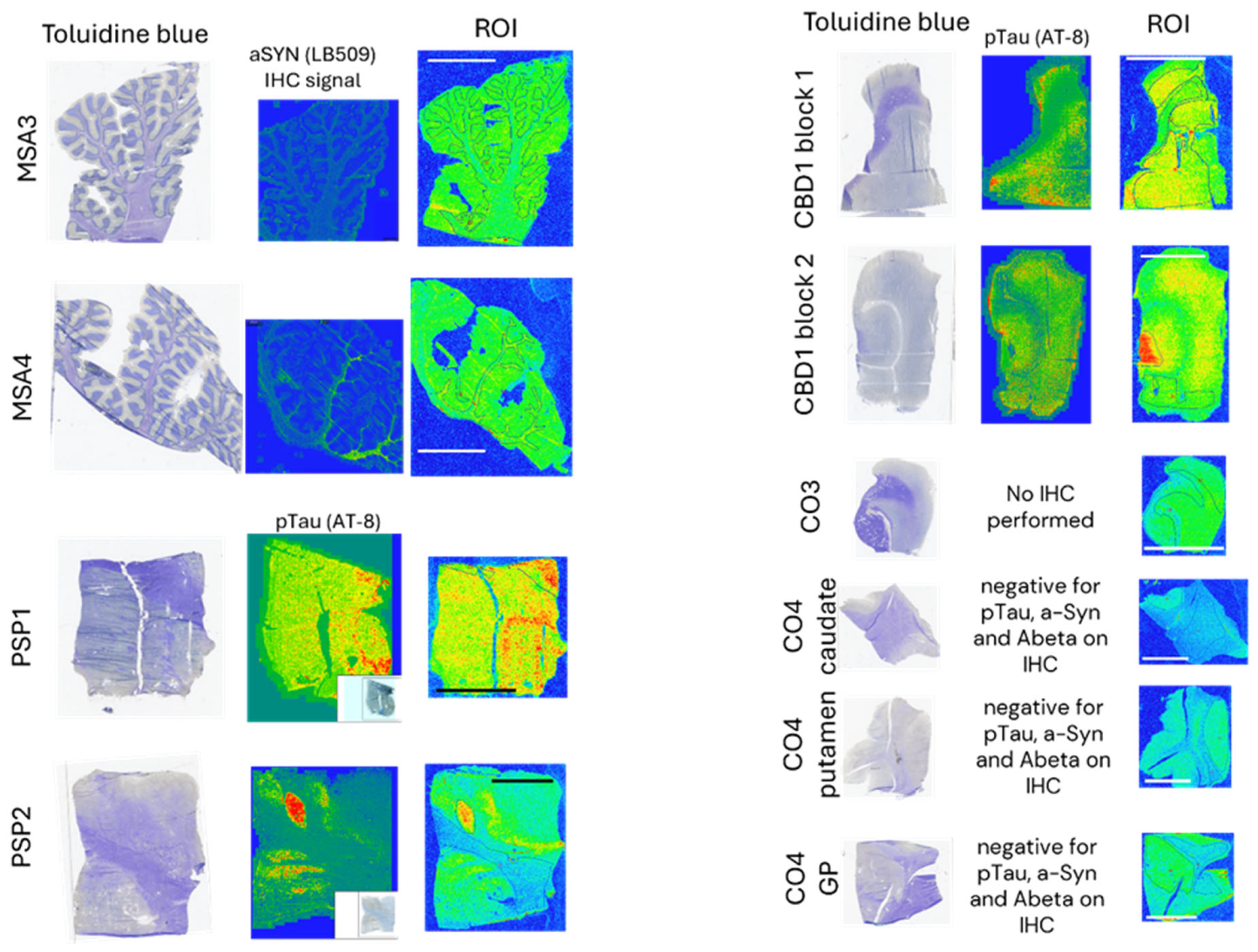 Cells 14 00869 g0a10