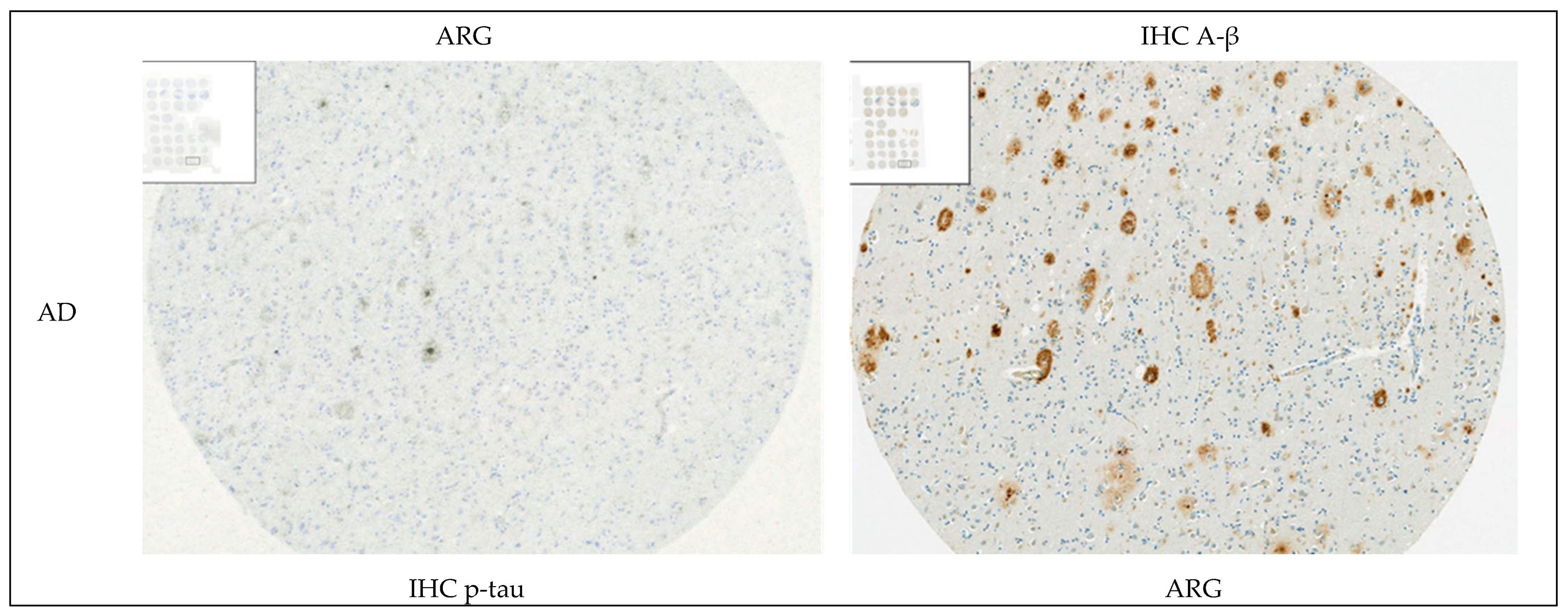 Cells 14 00869 g0a9a