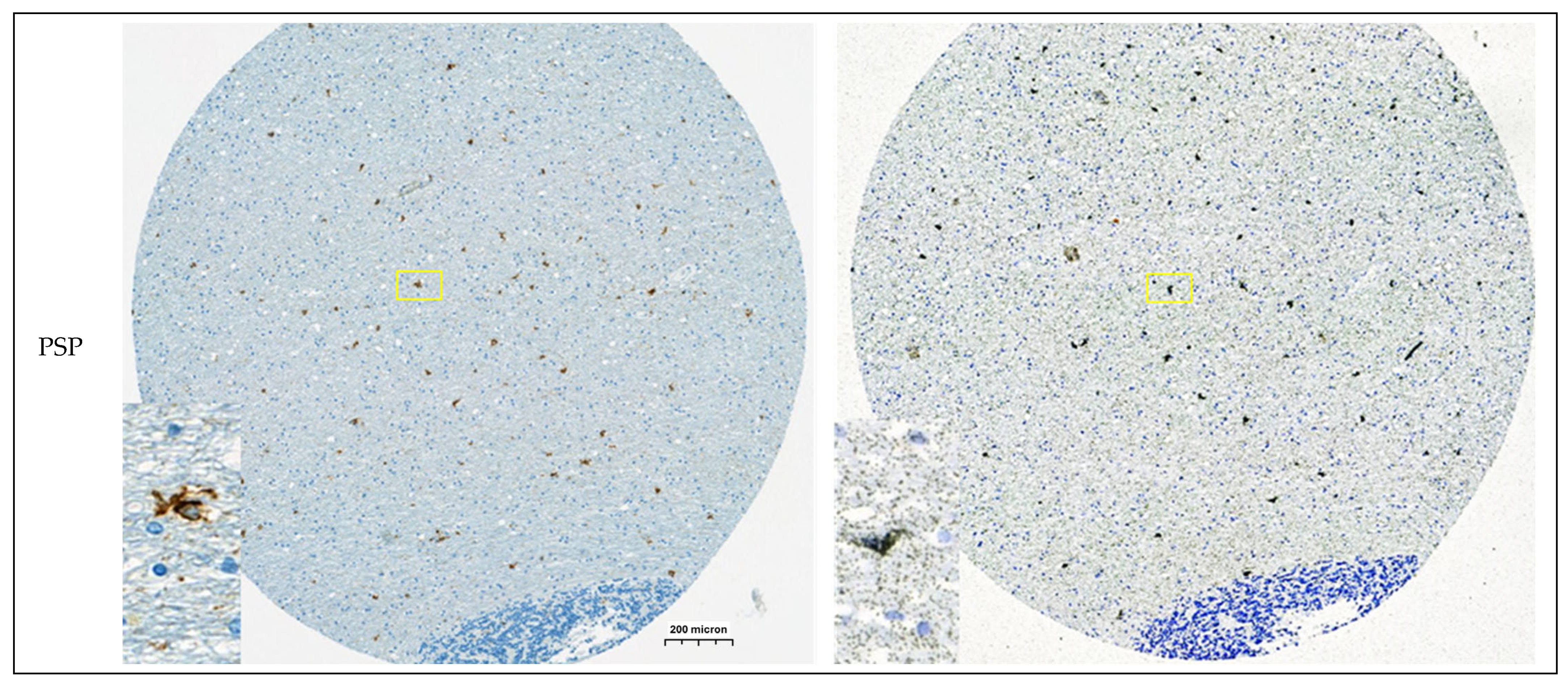 Cells 14 00869 g0a9b