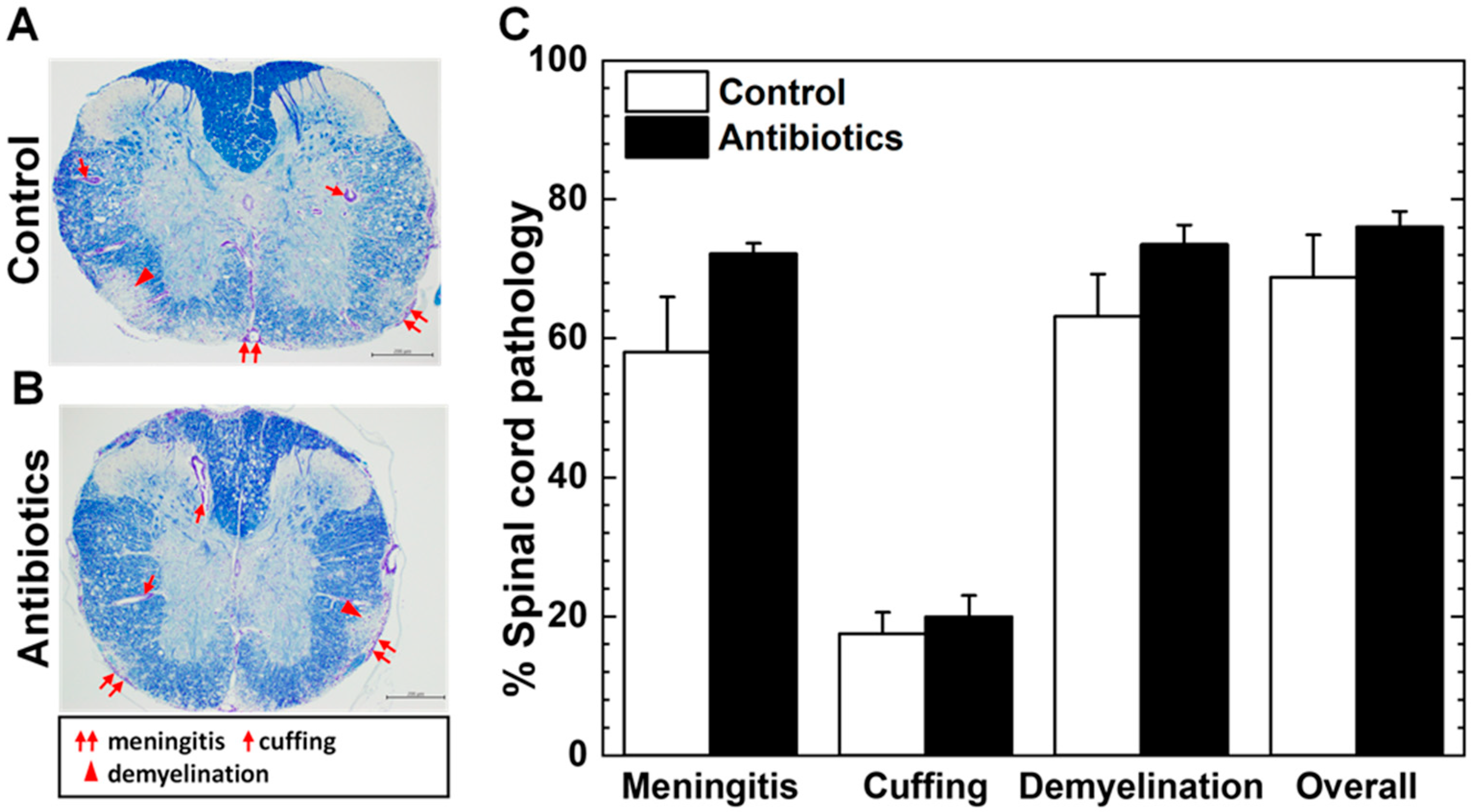 Cells 14 00871 g002 Cells 14 00871 g002