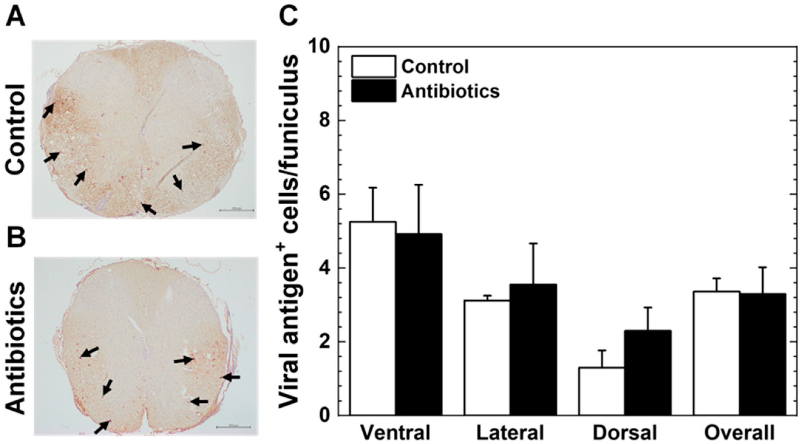 Cells 14 00871 g003 Cells 14 00871 g003