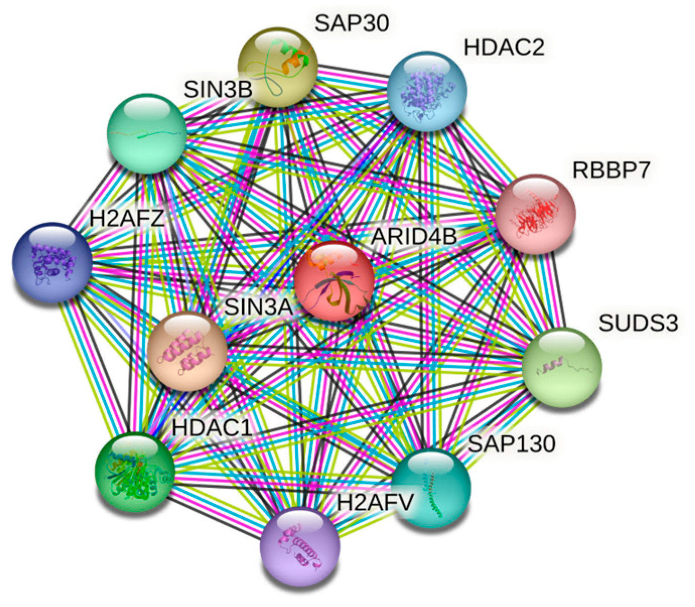 Cells 14 00872 g003 Cells 14 00872 g003