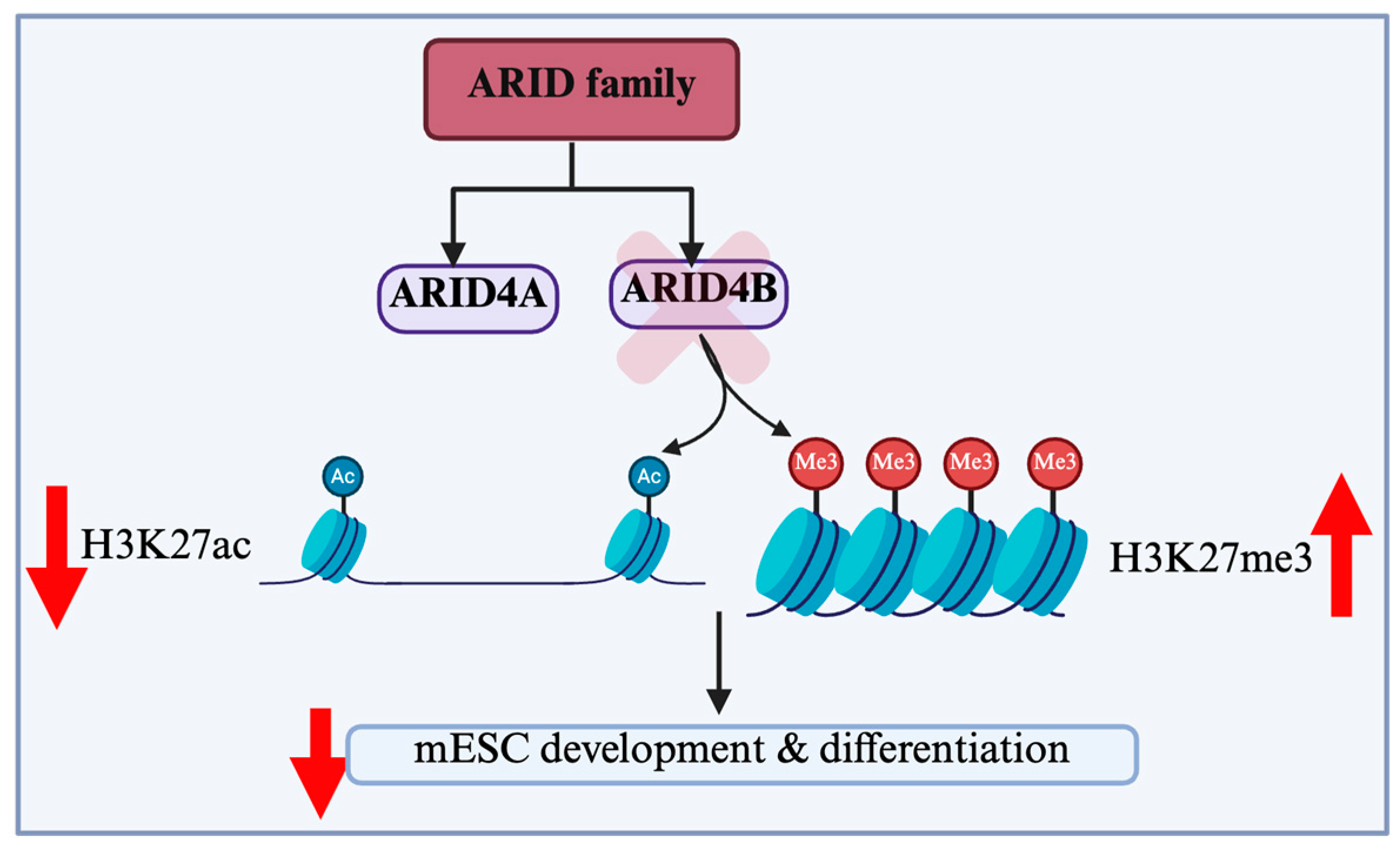 Cells 14 00872 g004 Cells 14 00872 g004