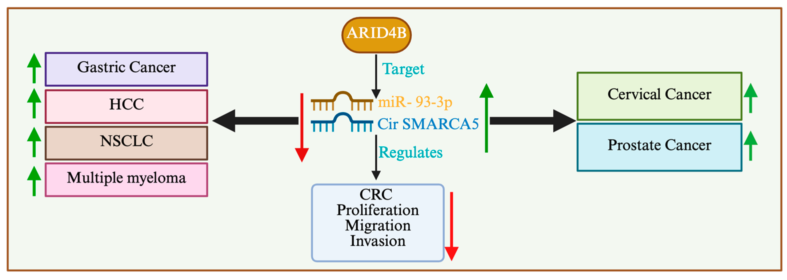Cells 14 00872 g006 Cells 14 00872 g006
