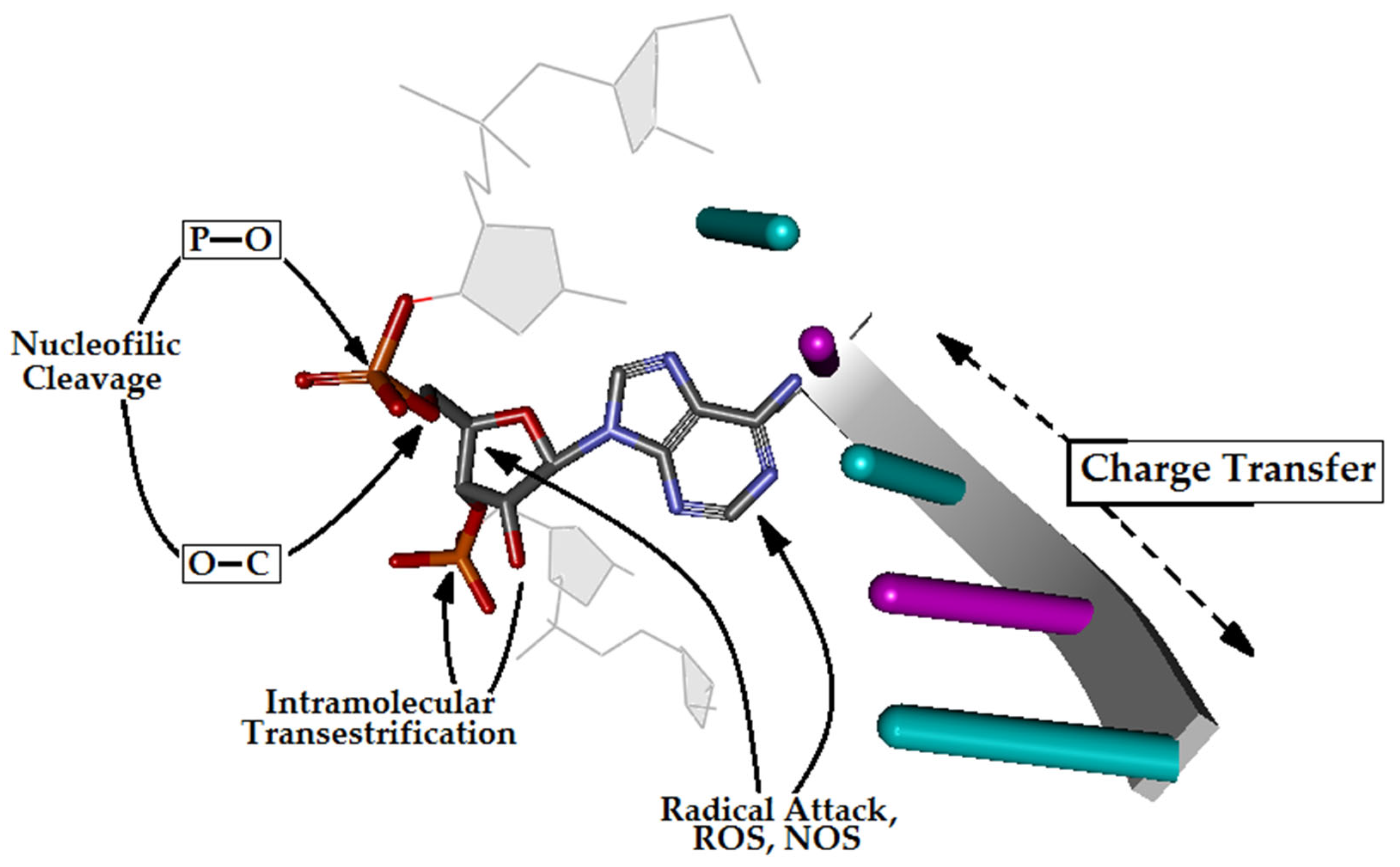Cells 14 00881 g001 Cells 14 00881 g001
