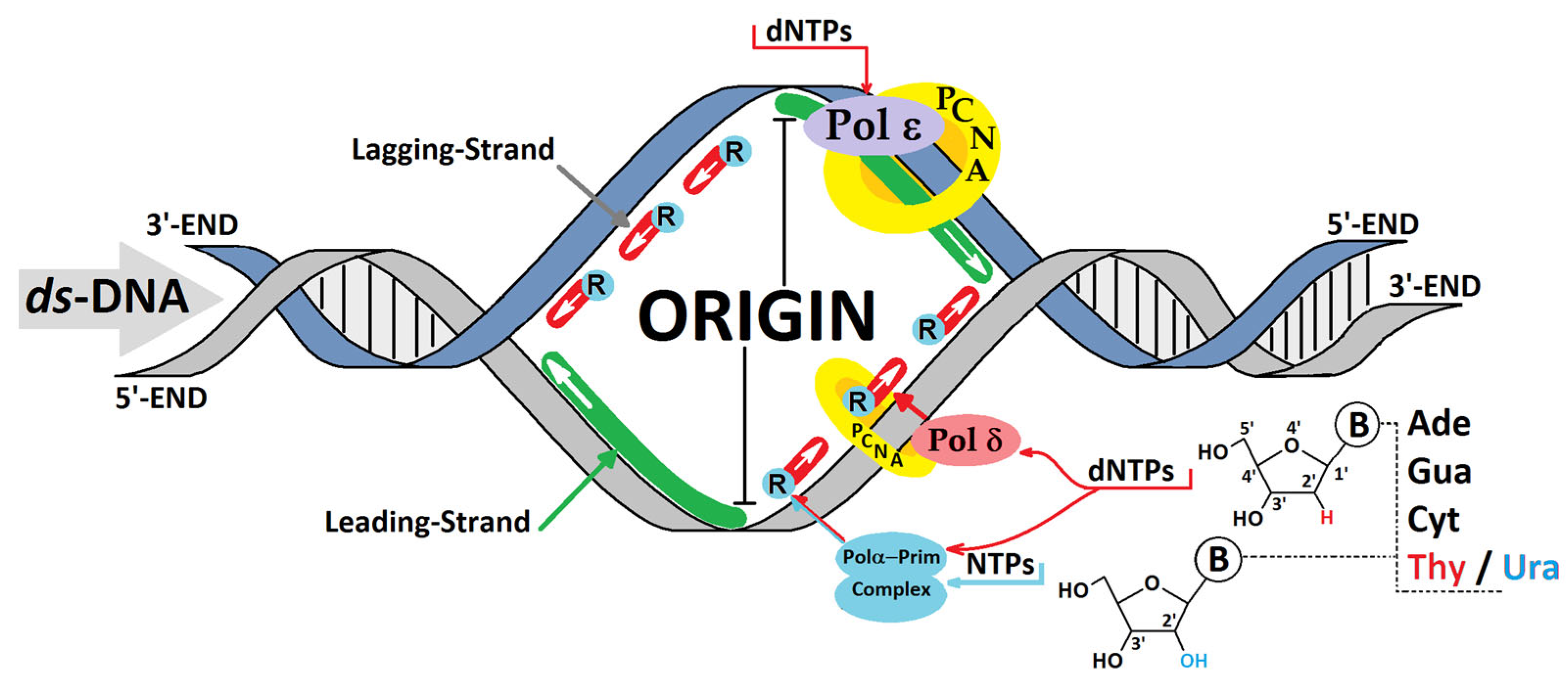 Cells 14 00881 g002 Cells 14 00881 g002