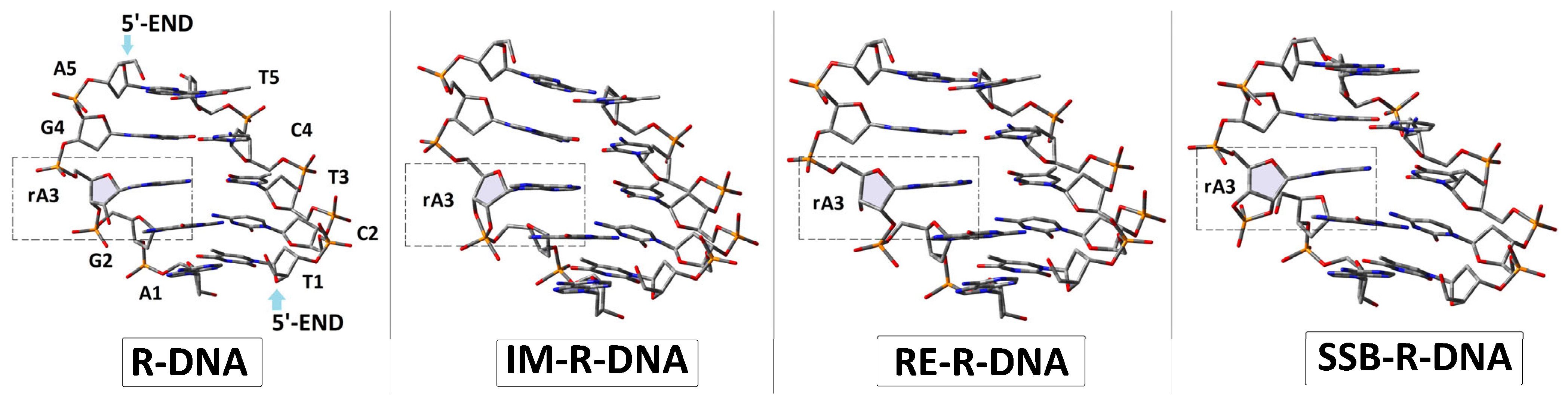 Cells 14 00881 g003 Cells 14 00881 g003