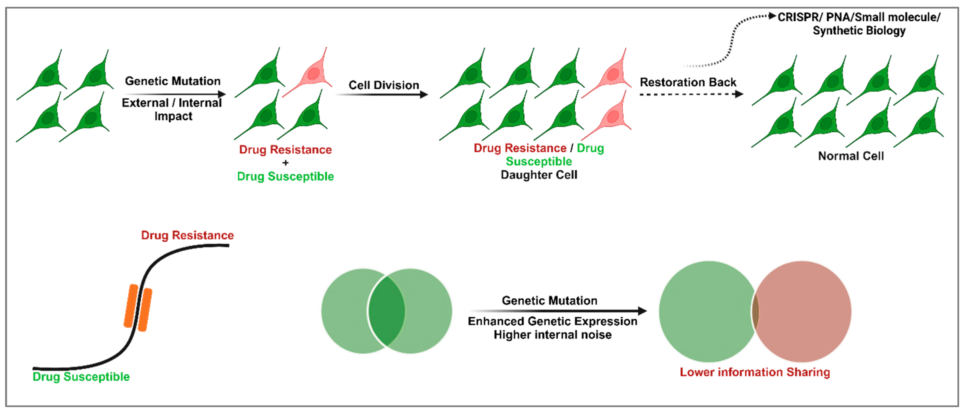 Cells 14 00903 g001 Cells 14 00903 g001