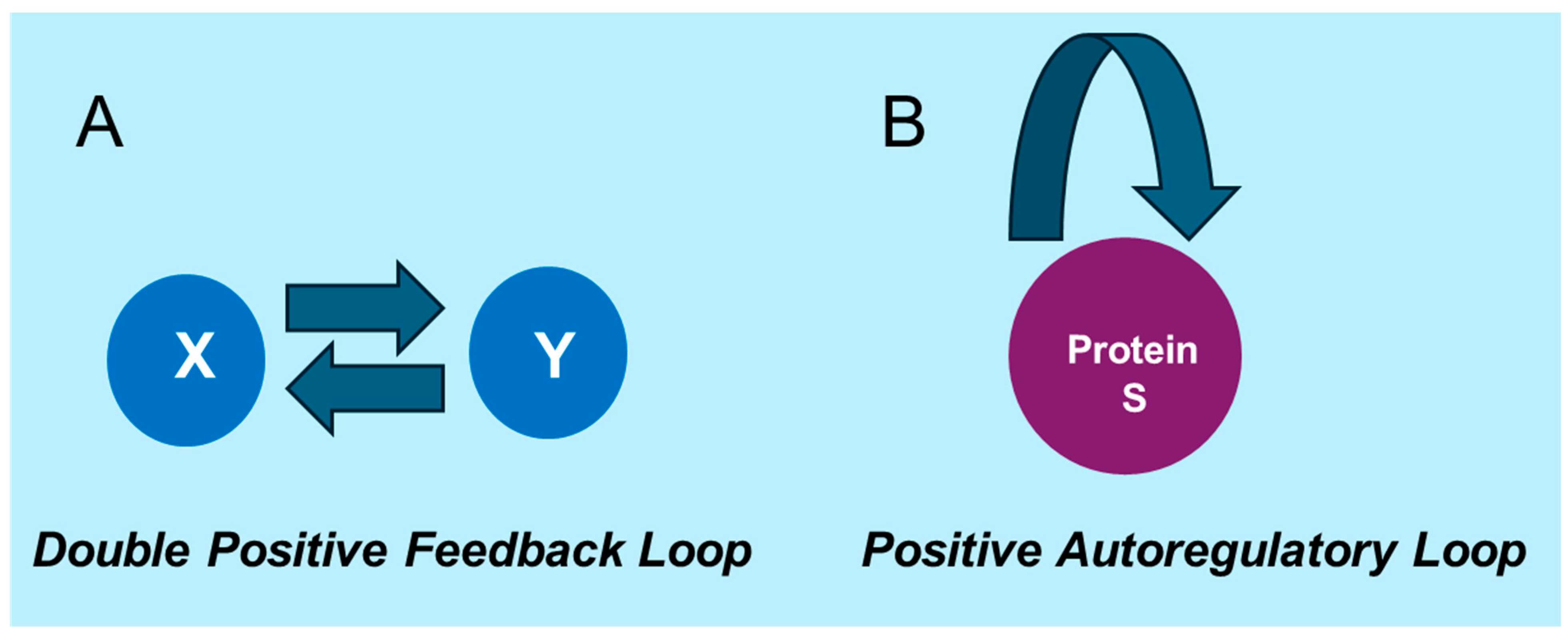 Cells 14 00903 g003 Cells 14 00903 g003