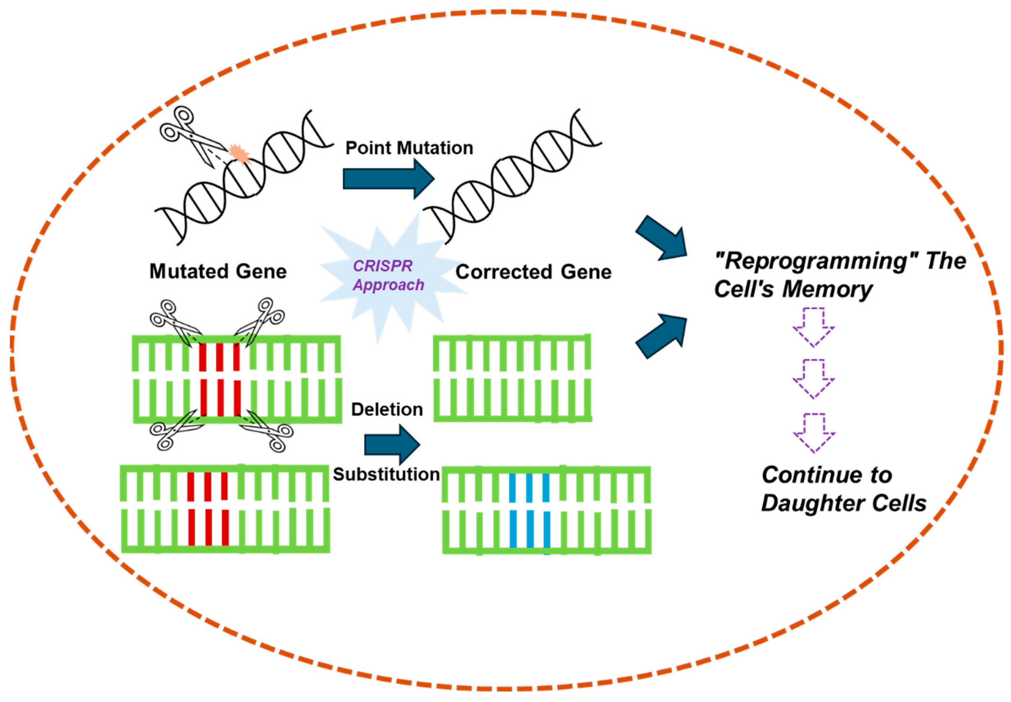 Cells 14 00903 g005 Cells 14 00903 g005