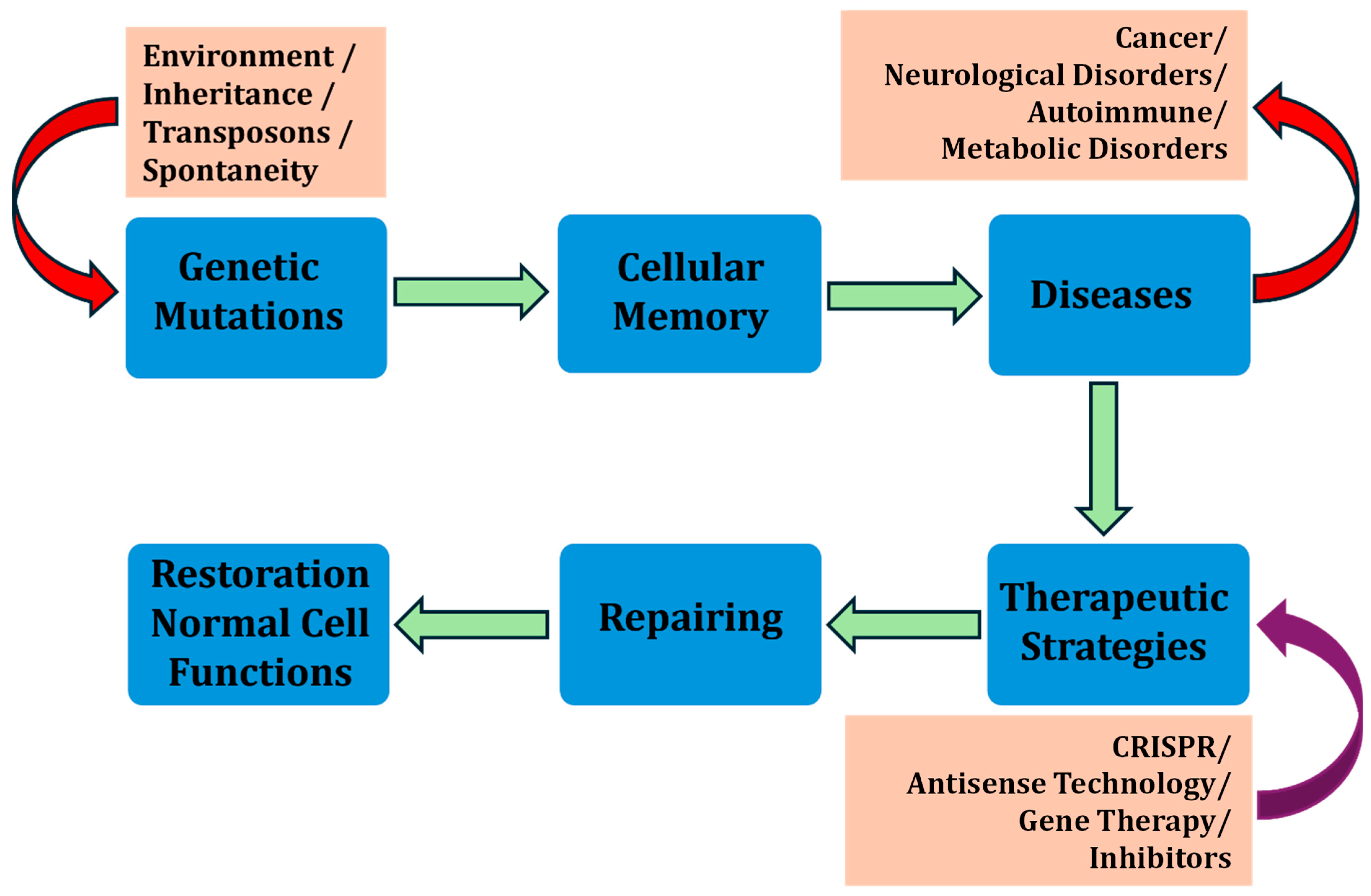 Cells 14 00903 g006 Cells 14 00903 g006