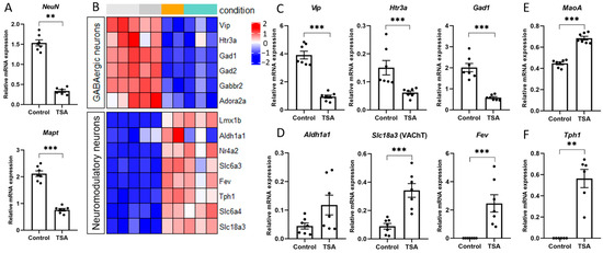 *fa様 Epigenetic Reprogramming of Cell Identity in the Rat Primary