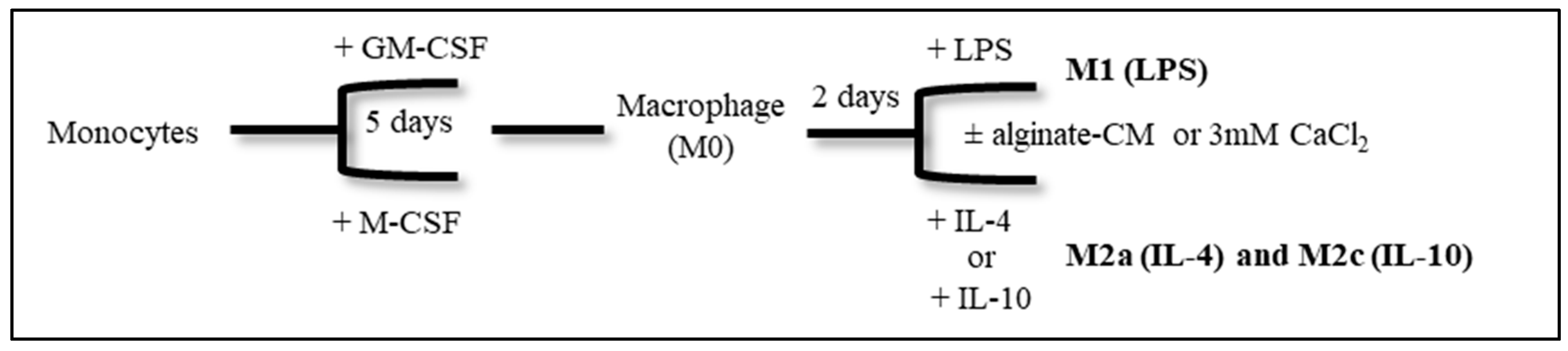 Cells 14 00909 sch001