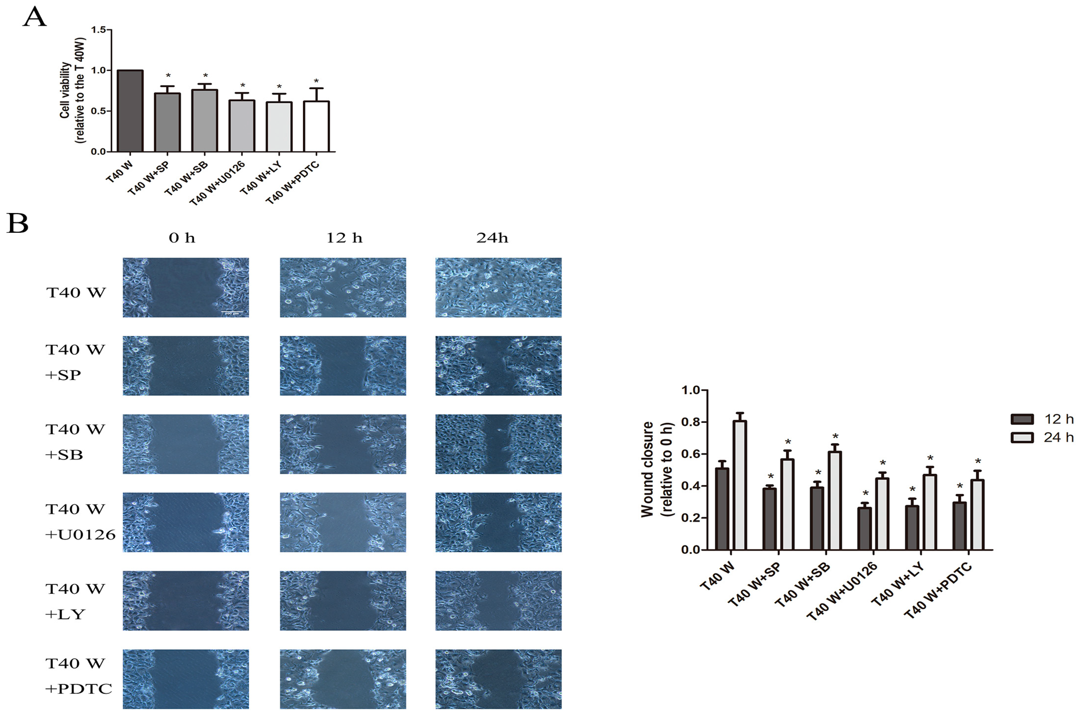 Cells 14 00912 g008a