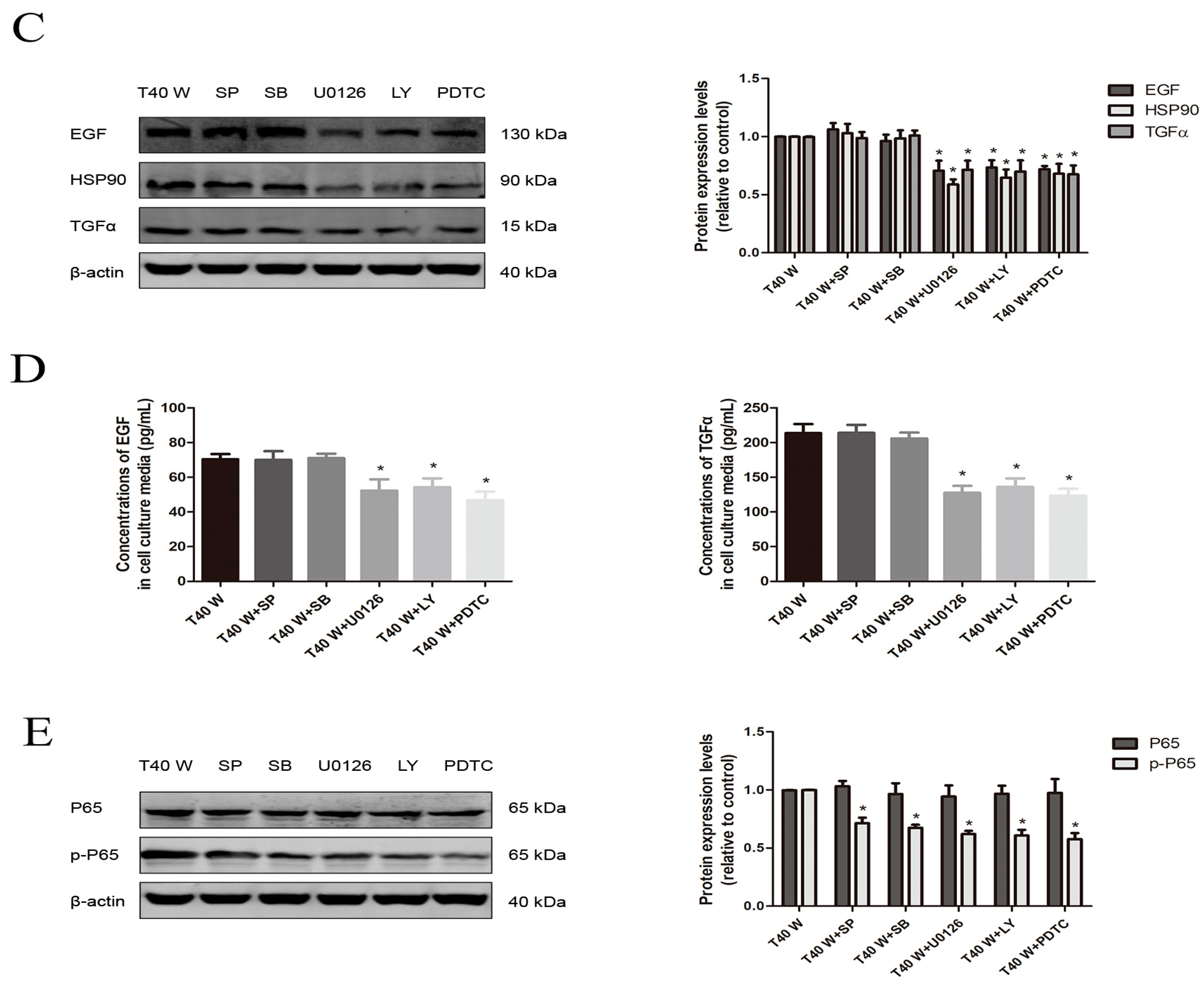 Cells 14 00912 g008b