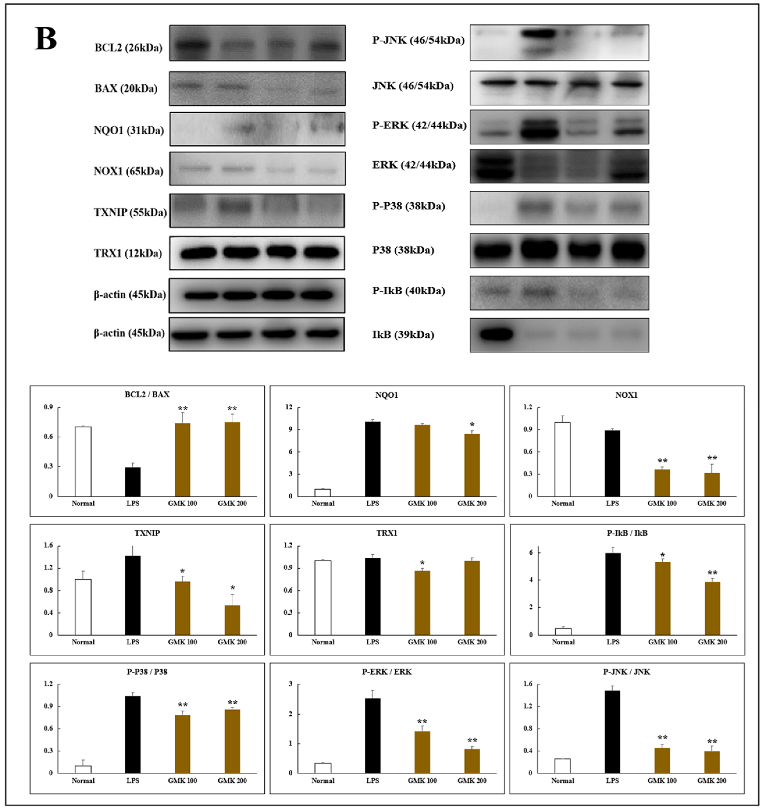 Cells 14 00977 g008b