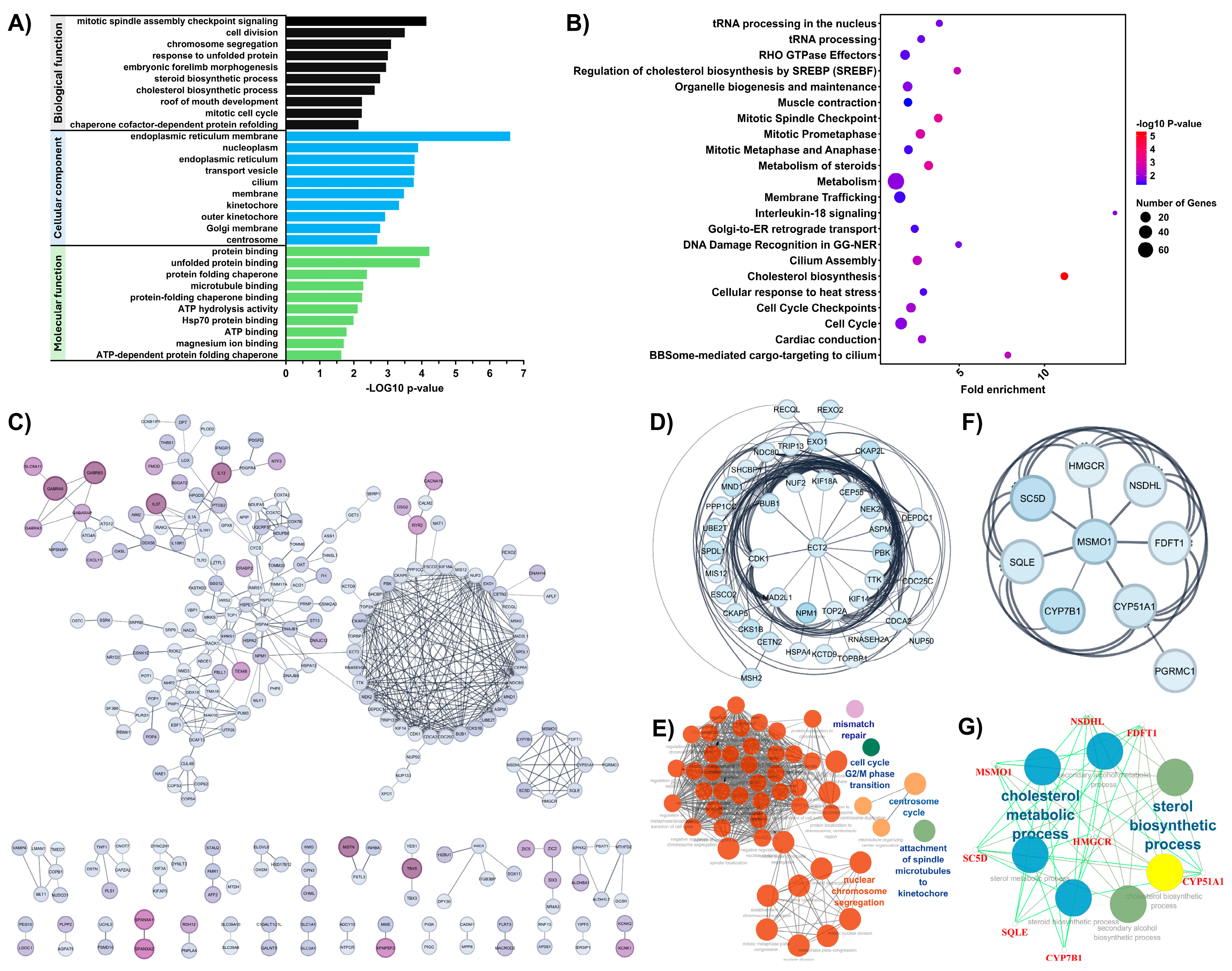Cells 14 00993 g002 Cells 14 00993 g002
