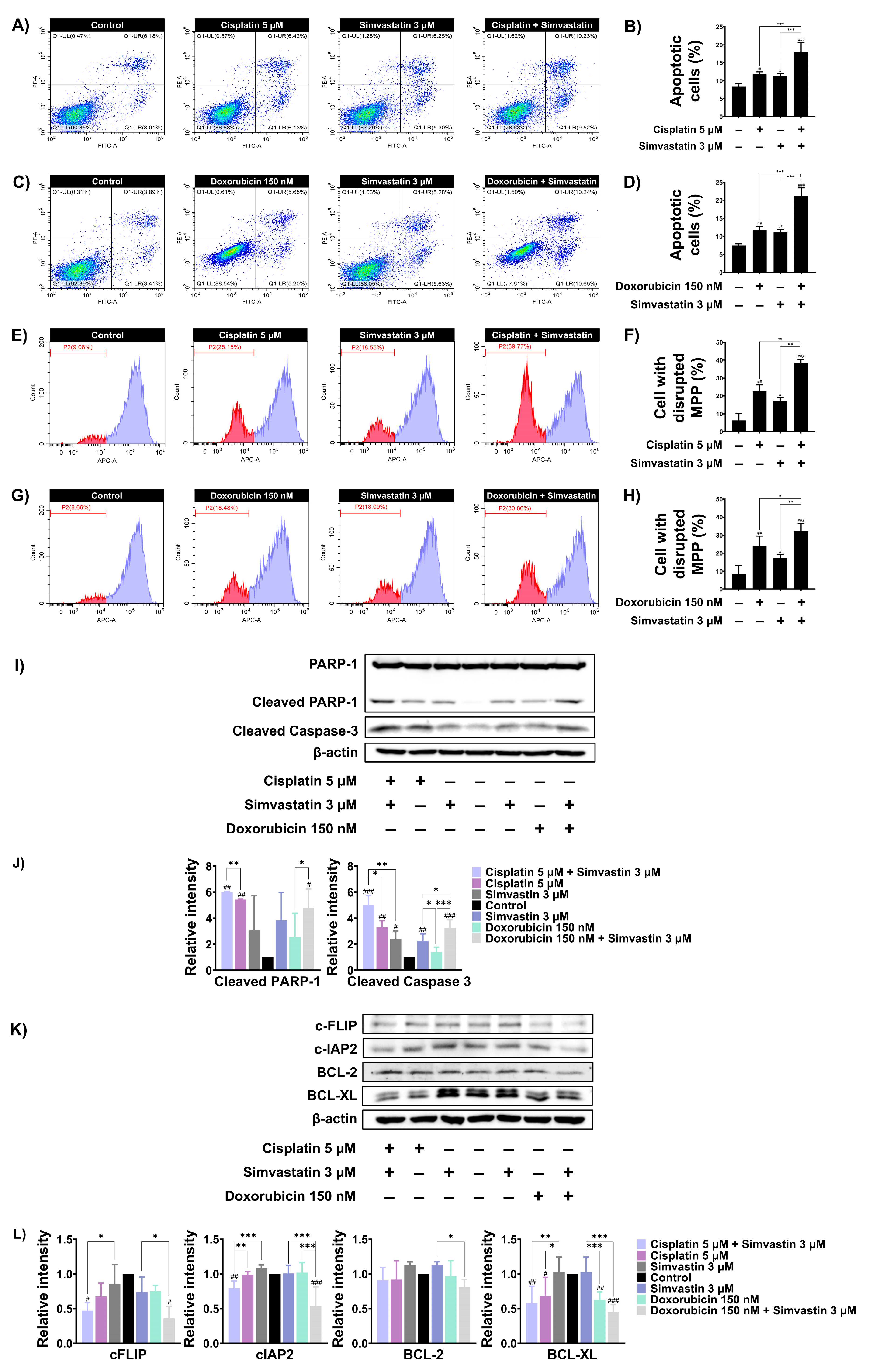Cells 14 00993 g004 Cells 14 00993 g004