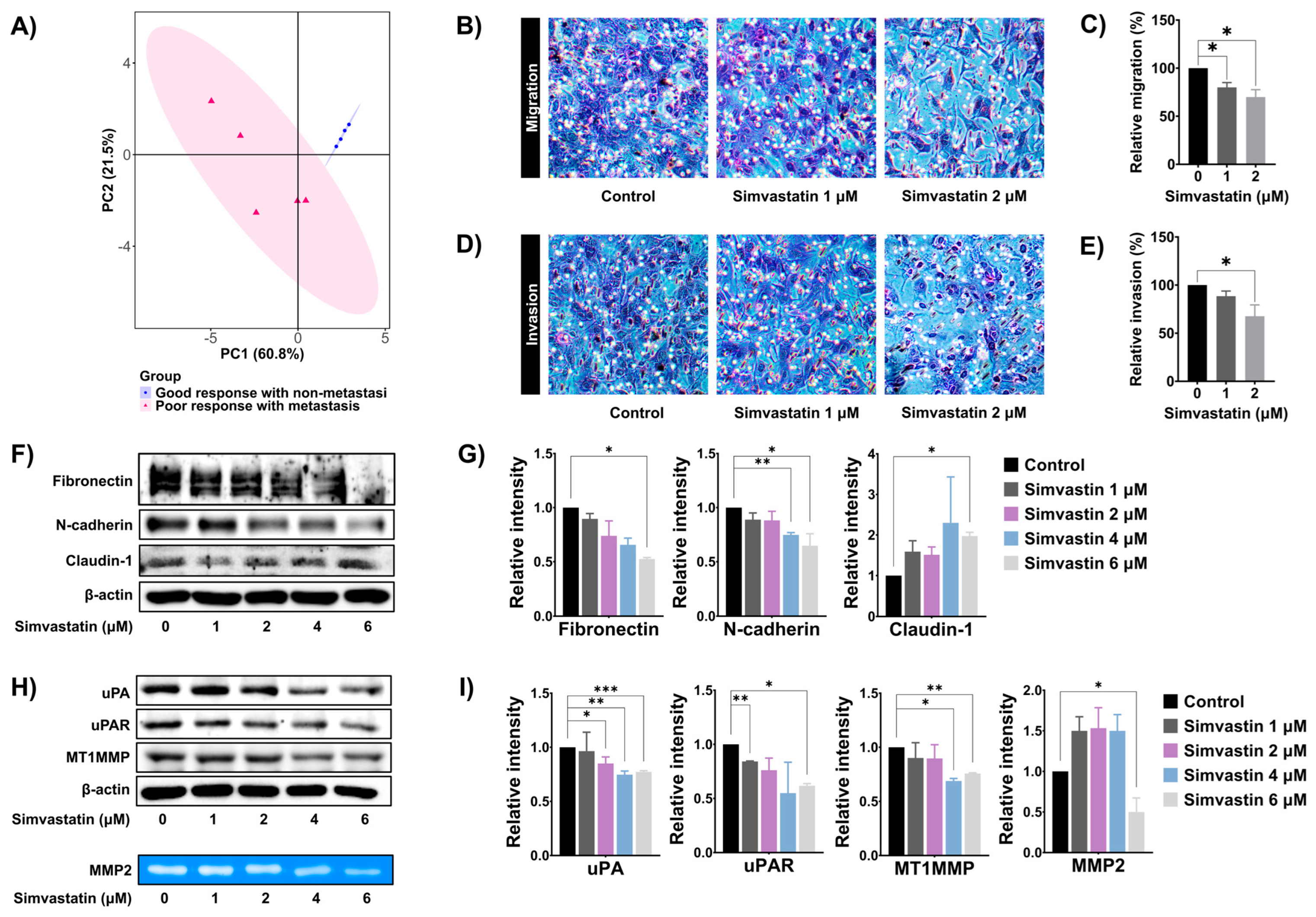 Cells 14 00993 g005 Cells 14 00993 g005