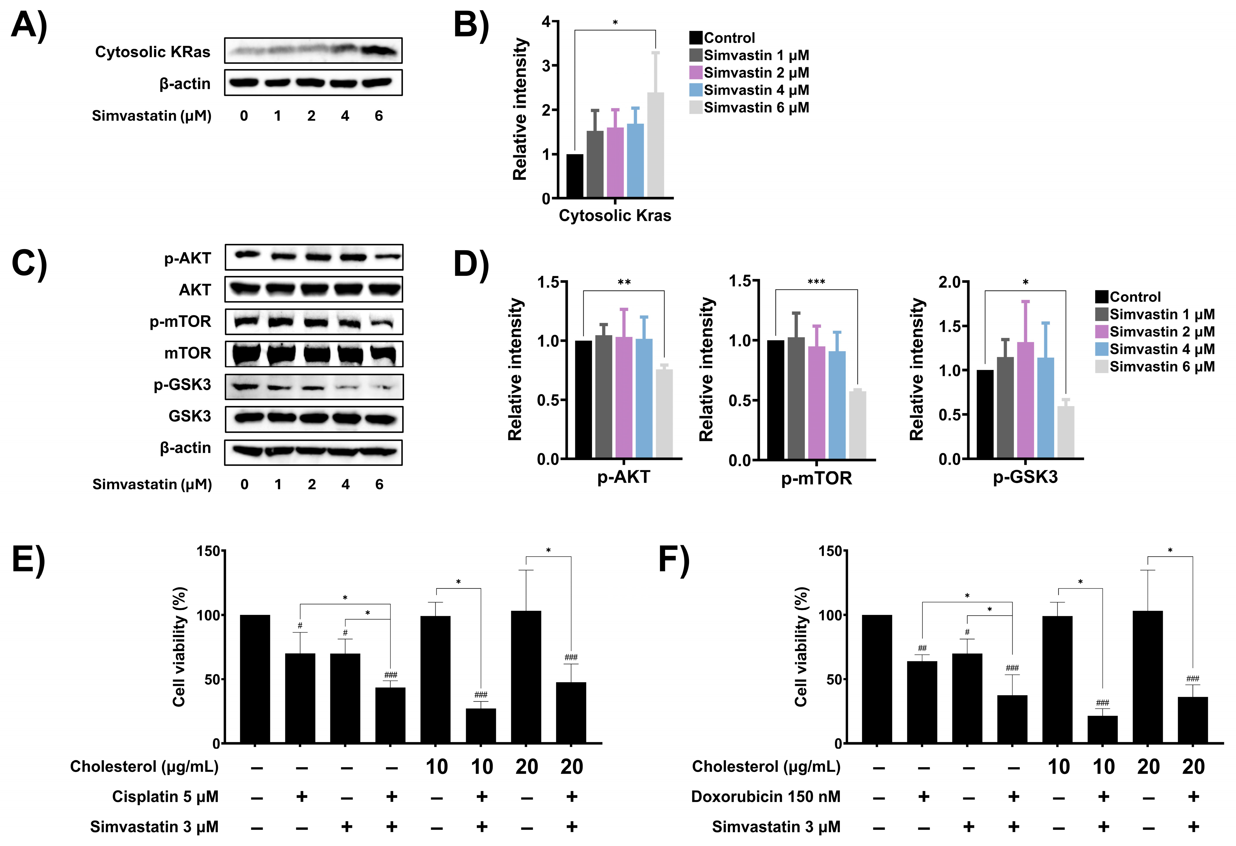 Cells 14 00993 g006 Cells 14 00993 g006
