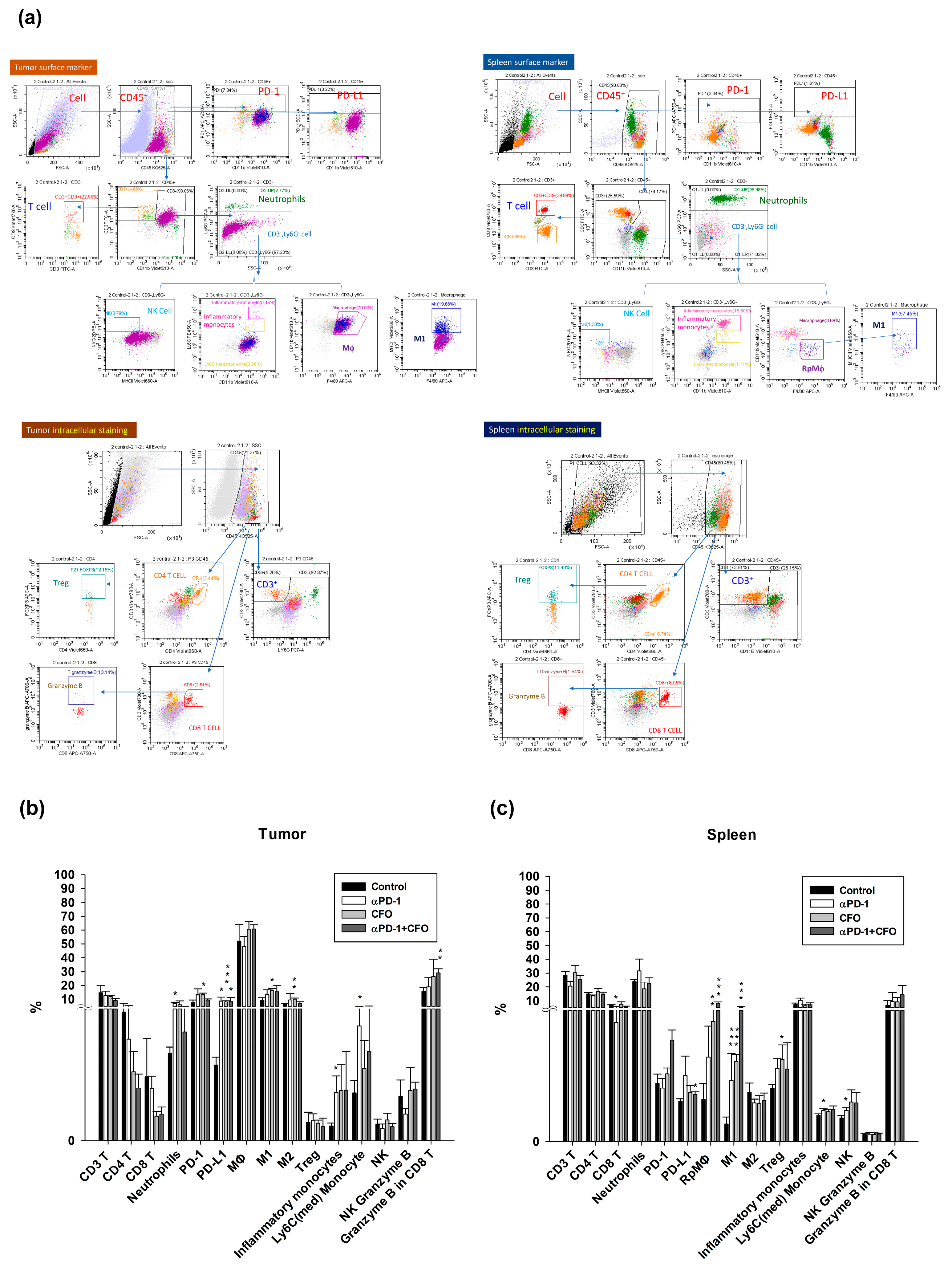 Cells 14 01010 g006