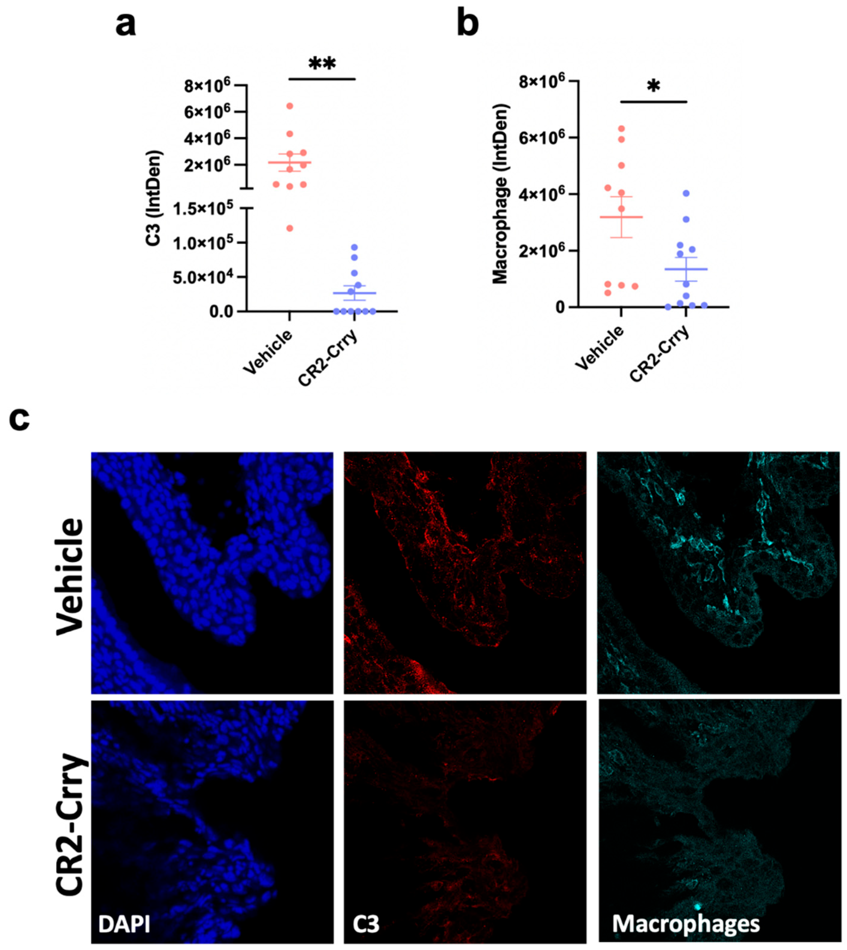 Cells 14 01045 g003