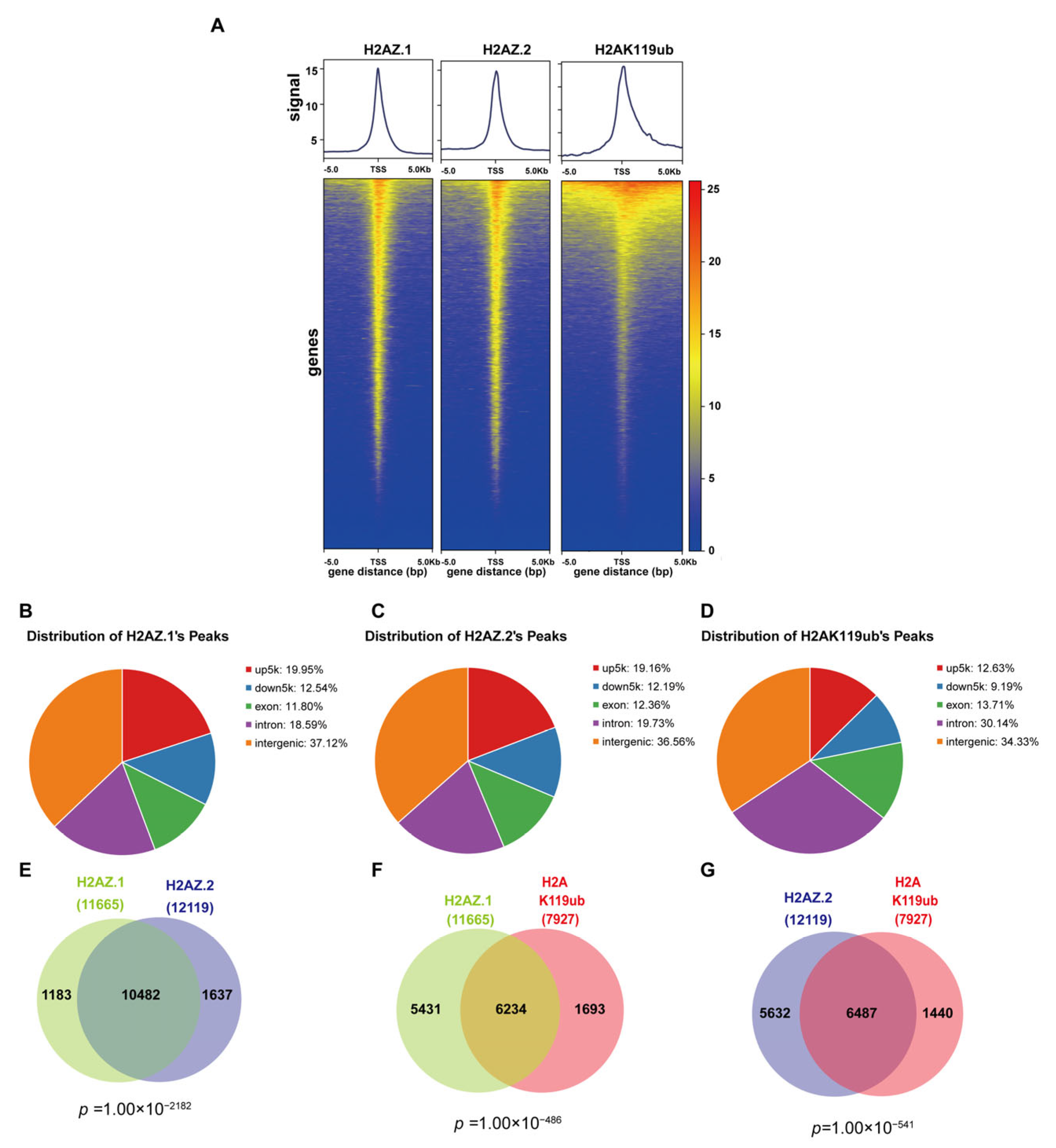 Cells 14 01133 g003 Cells 14 01133 g003