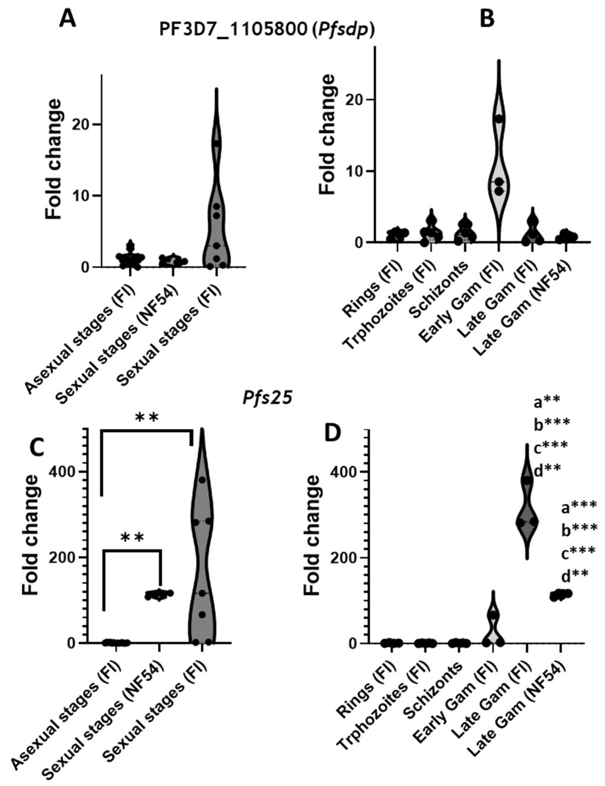 Cells 14 01184 g002 Cells 14 01184 g002