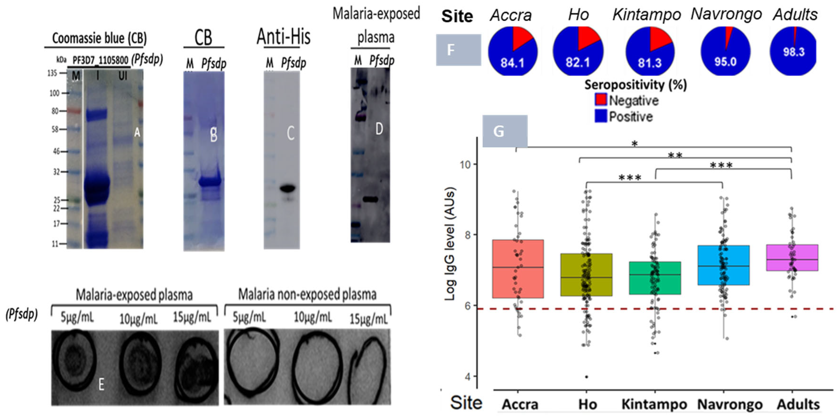 Cells 14 01184 g006 Cells 14 01184 g006