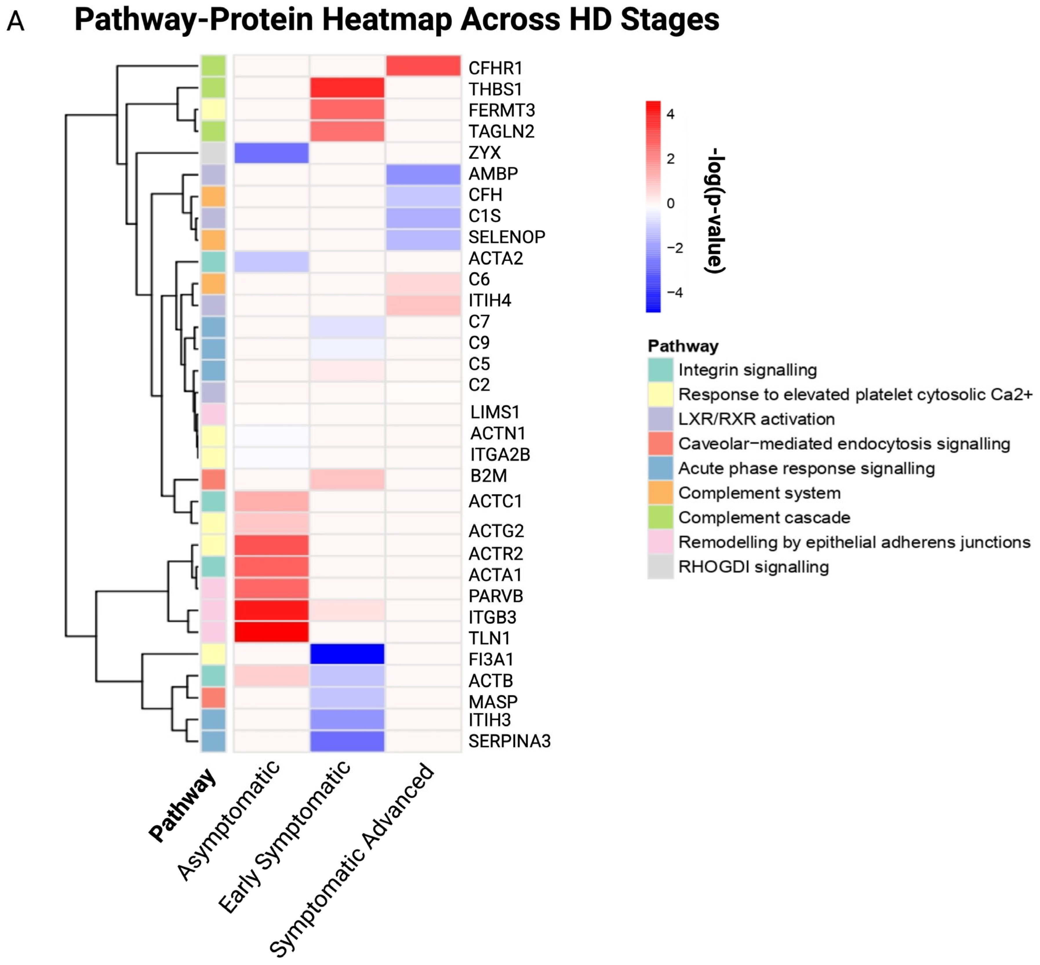 Cells 14 01195 g004a